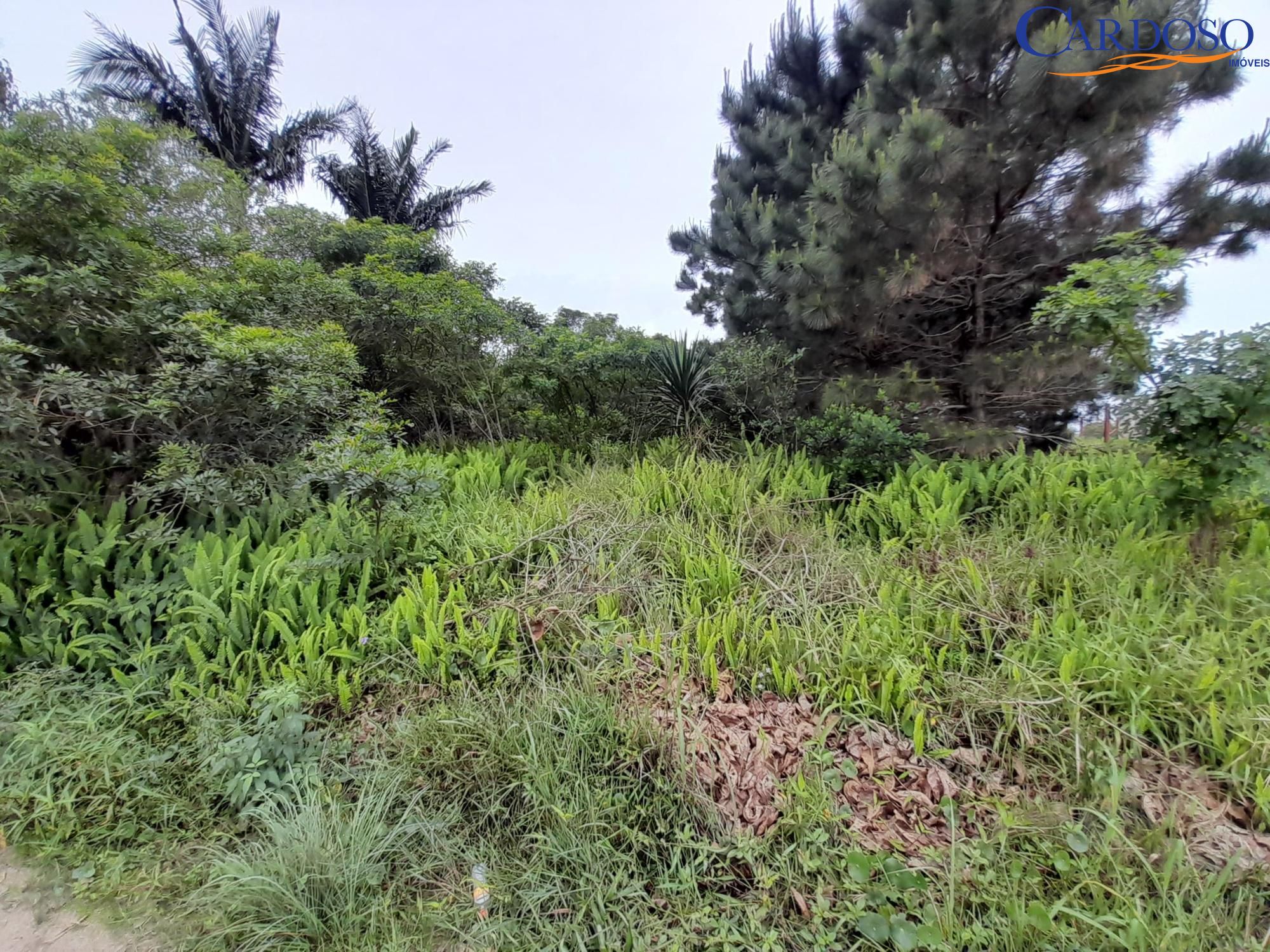 Terreno, 444 m² - Foto 11