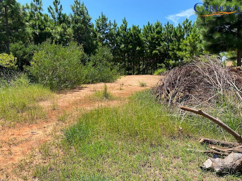 Terreno, 302 m² - Foto 5