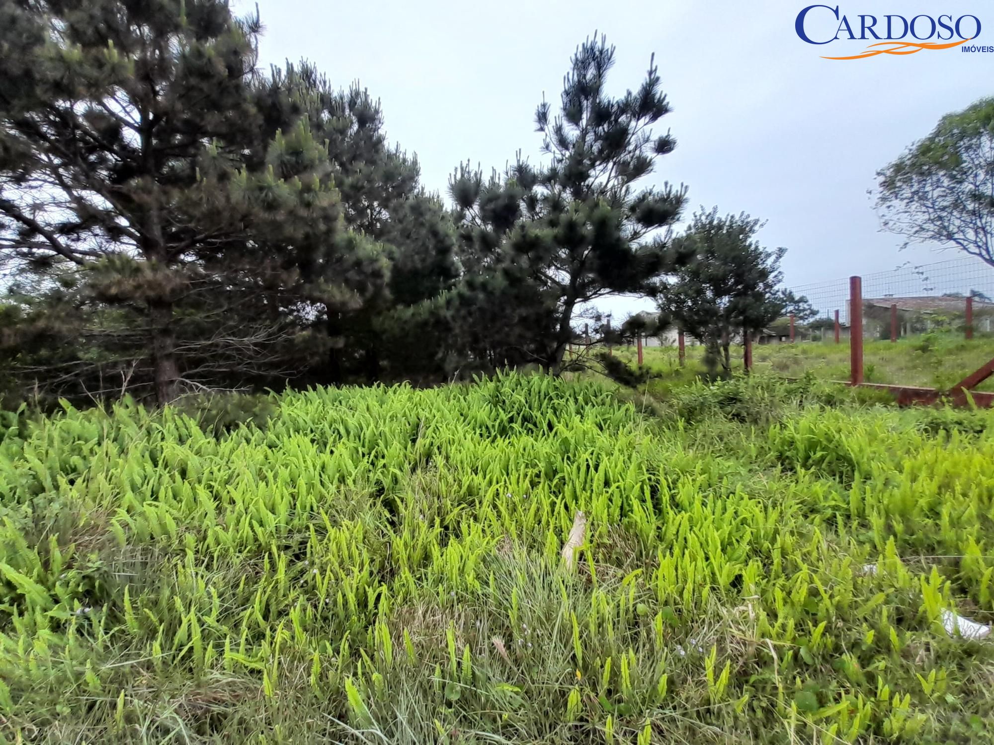 Terreno, 444 m² - Foto 2