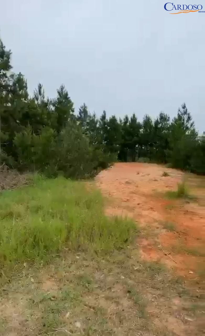 Terreno, 302 m² - Foto 4