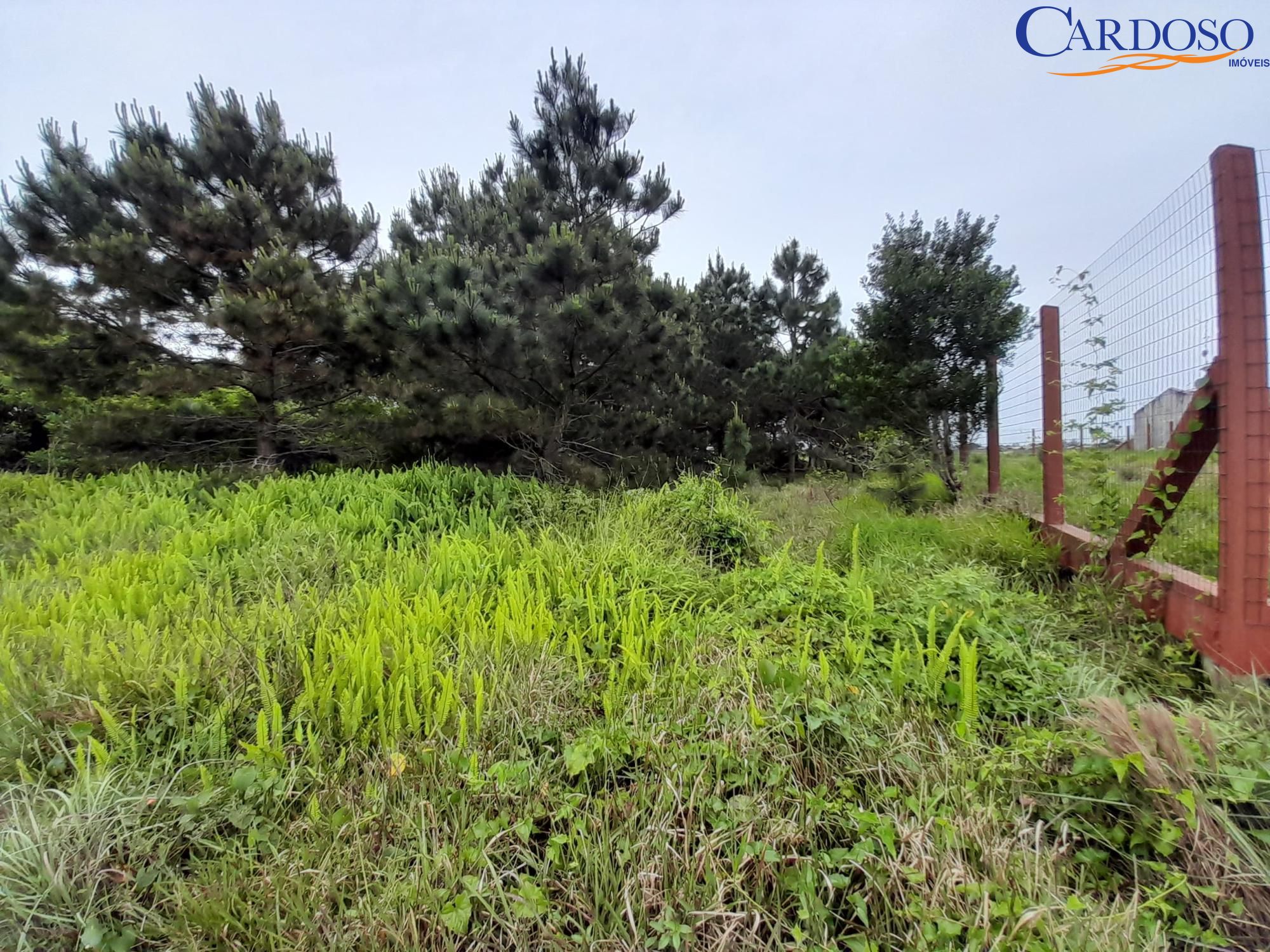 Terreno, 444 m² - Foto 4