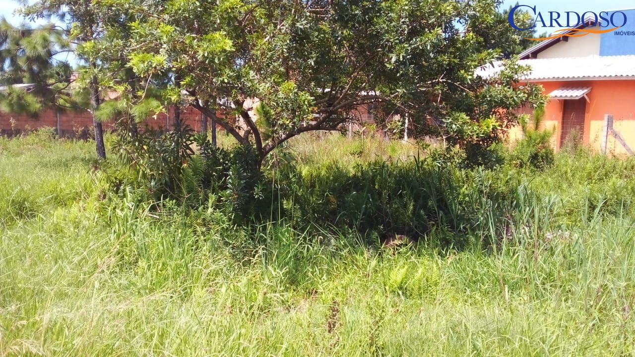 Terreno, 300 m² - Foto 2