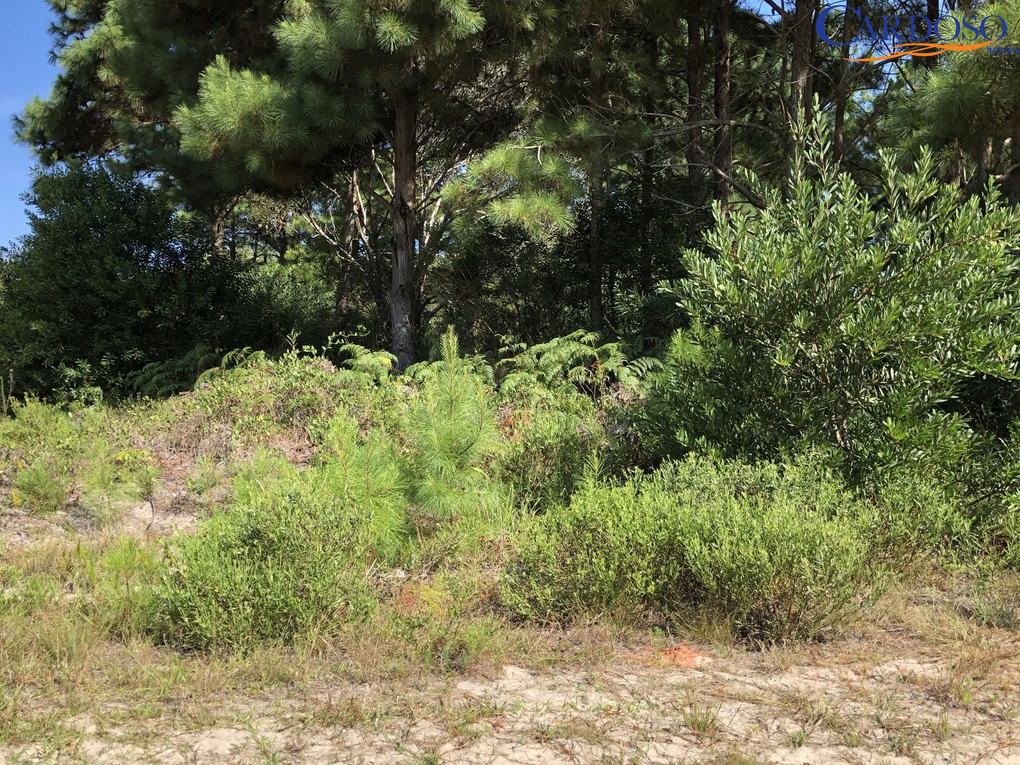 Terreno, 297 m² - Foto 1