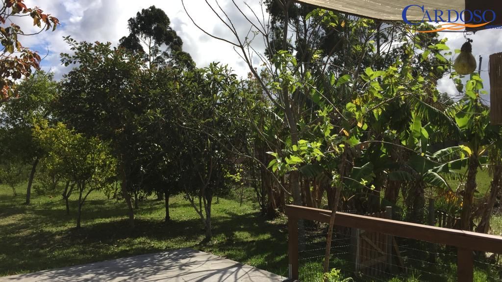 Sítio à venda com 2 quartos, 80m² - Foto 7