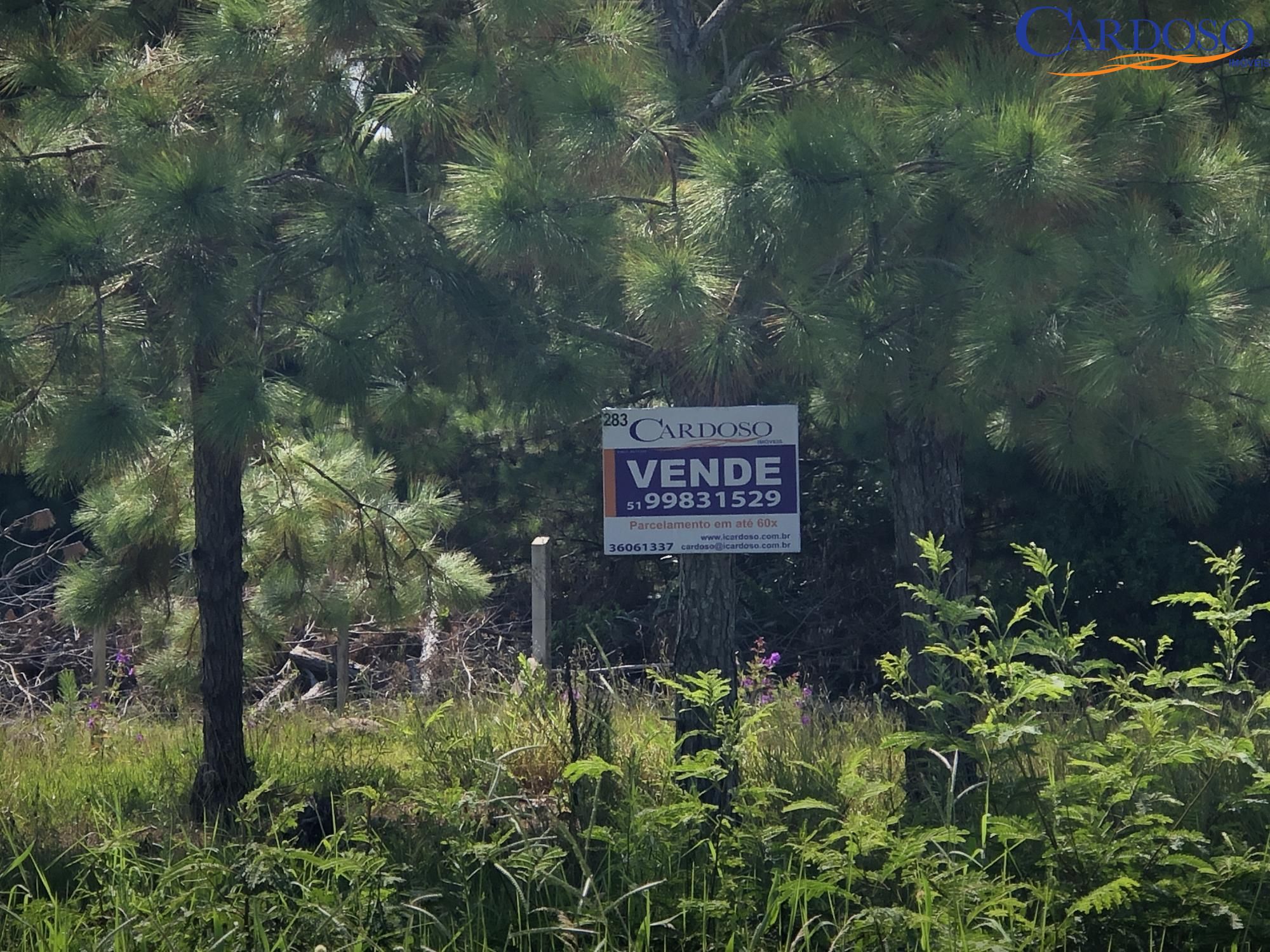 Terreno, 360 m² - Foto 3