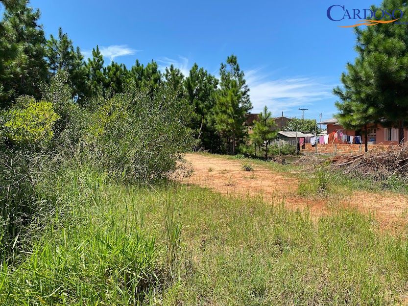 Terreno, 302 m² - Foto 6