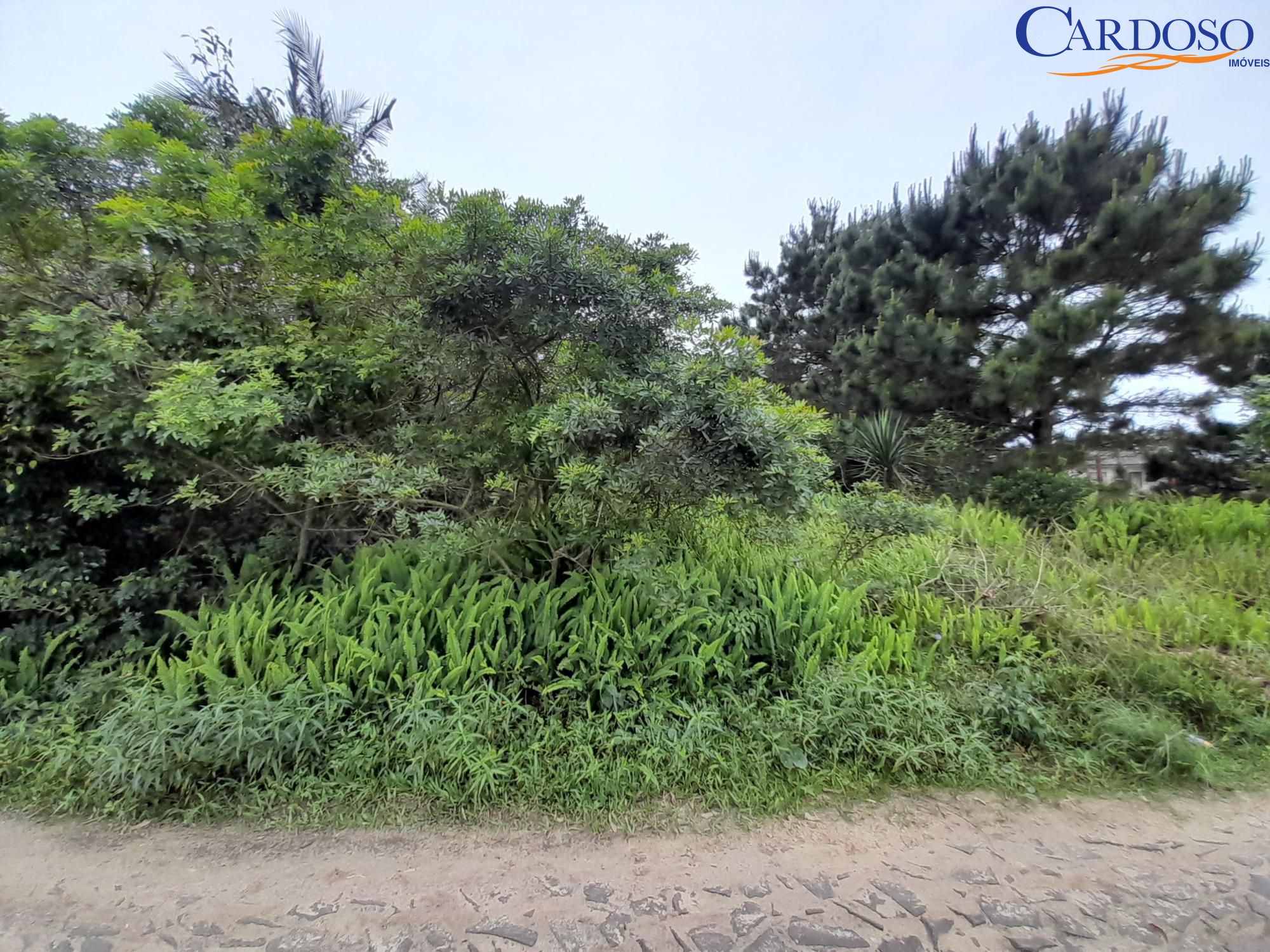 Terreno, 444 m² - Foto 7