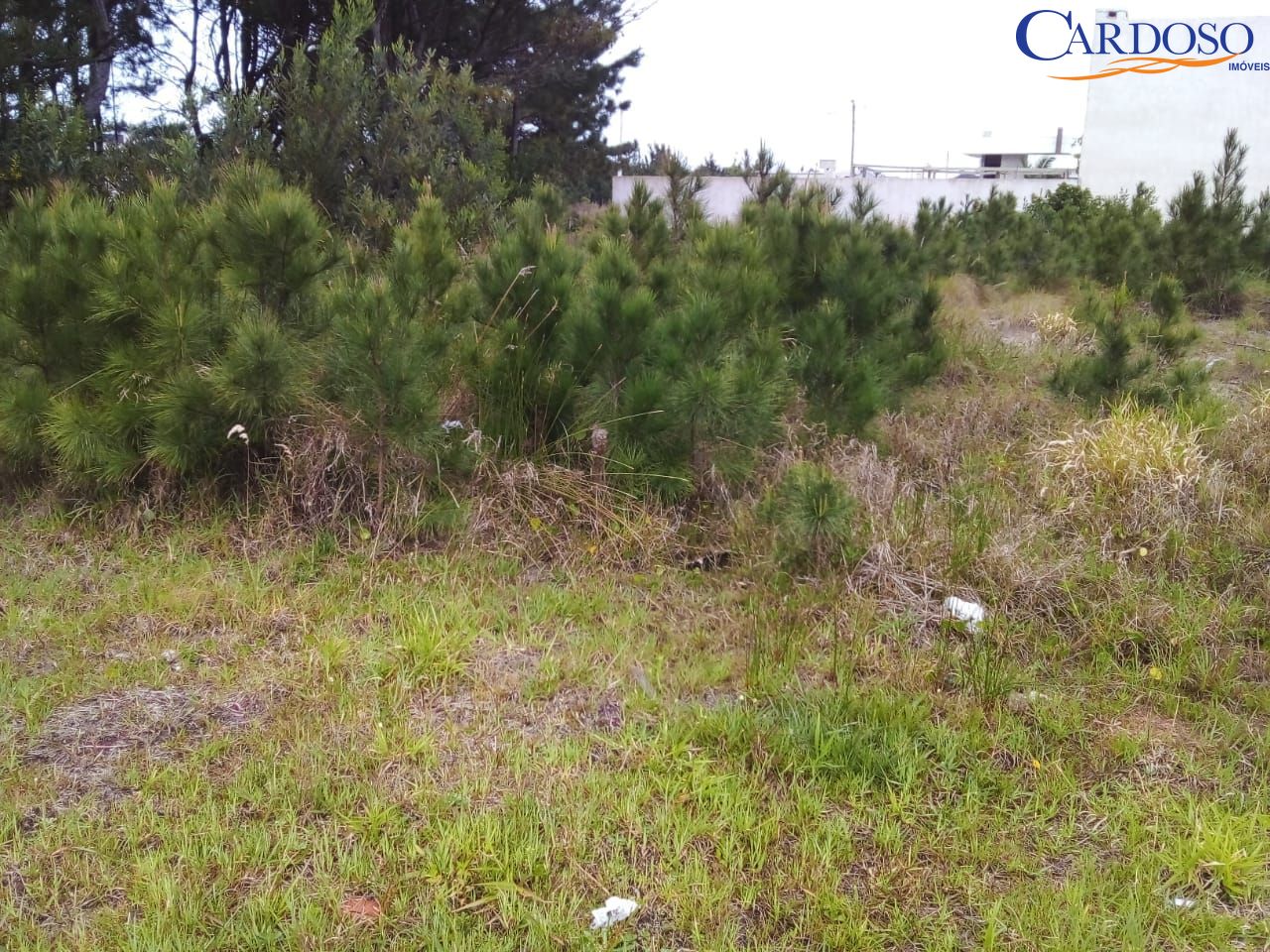 Terreno, 390 m² - Foto 3