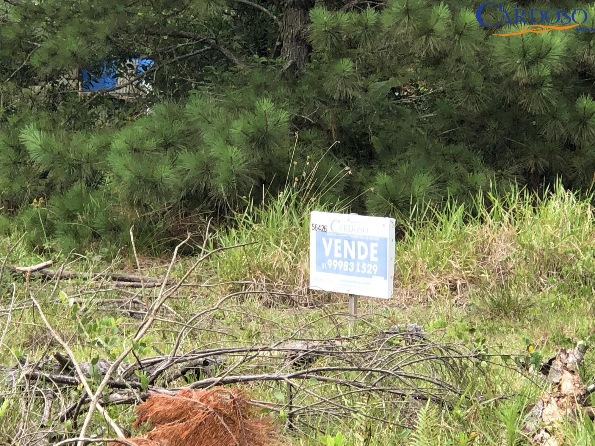 Terreno, 300 m² - Foto 3