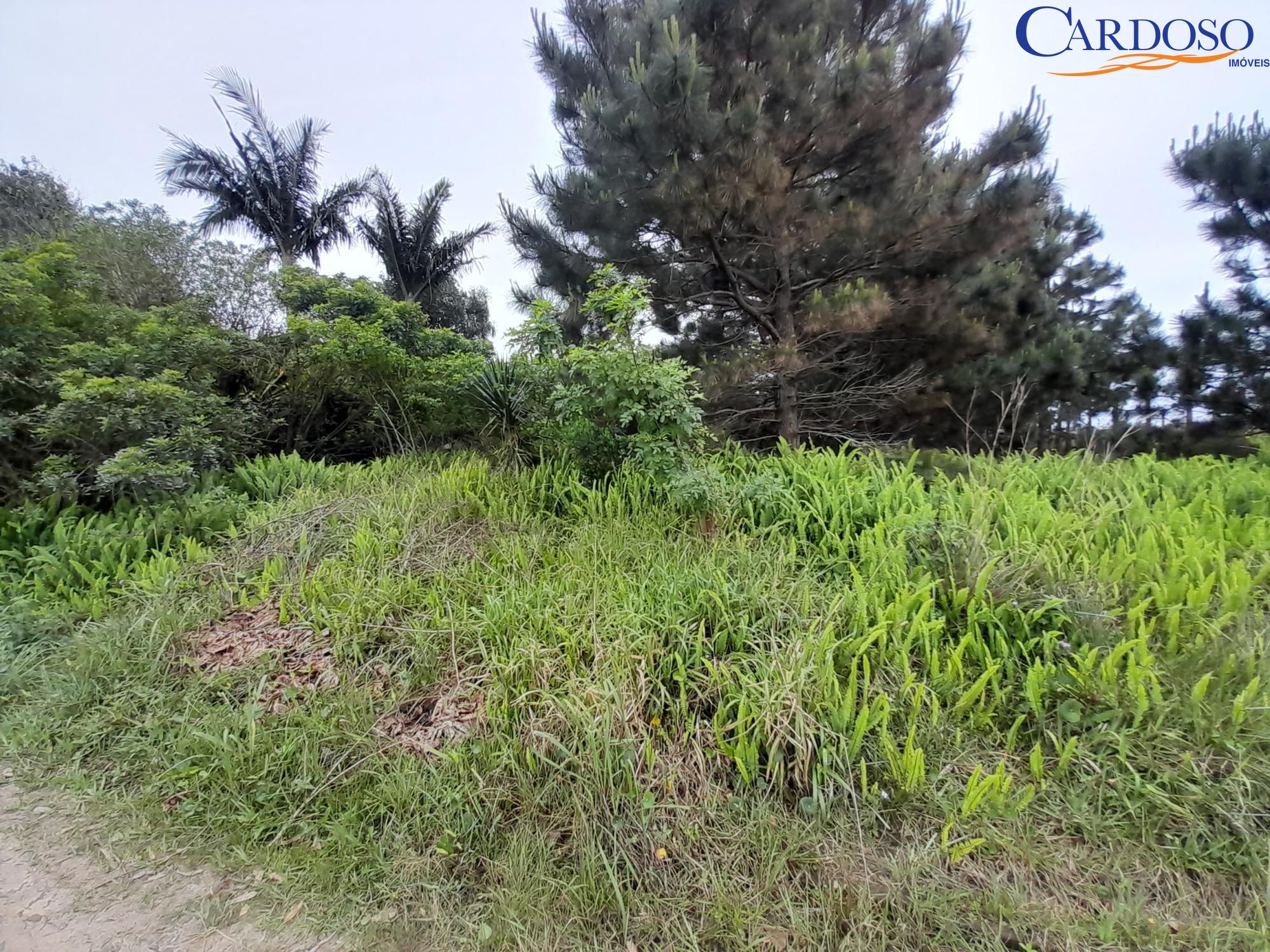 Terreno, 444 m² - Foto 8