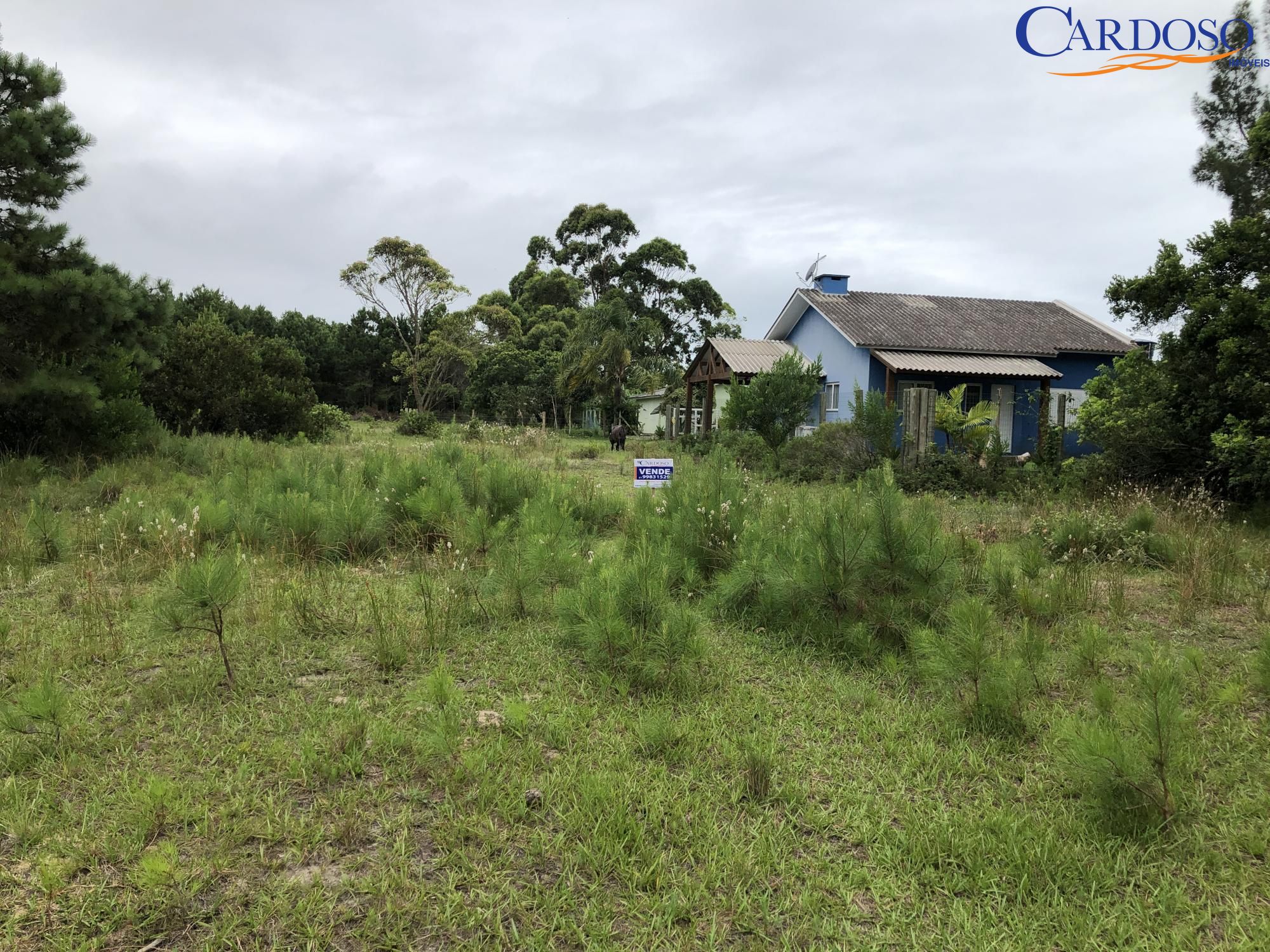 Terreno, 300 m² - Foto 3