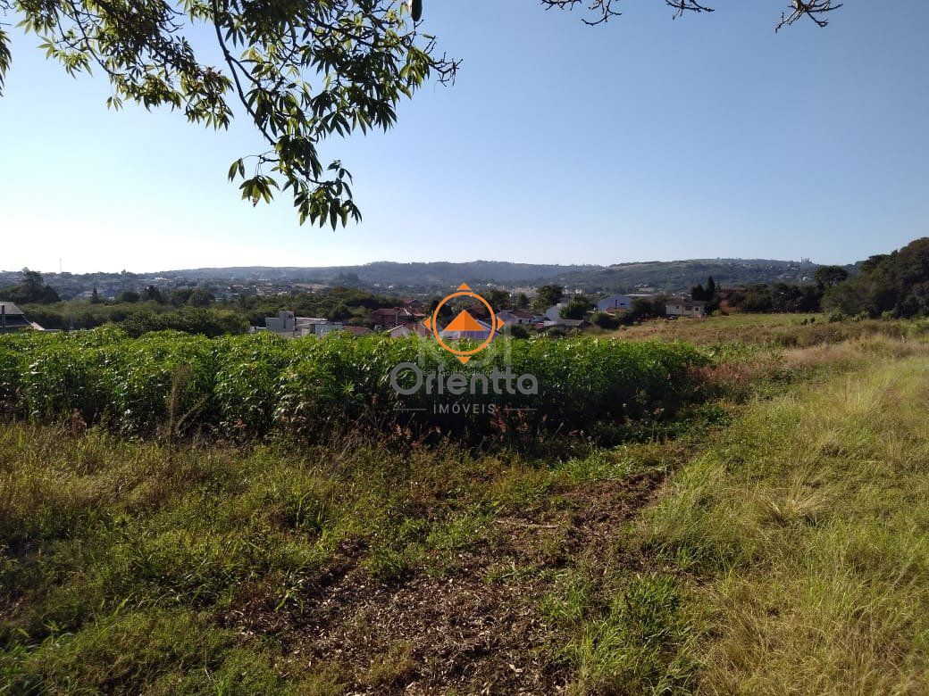 Terreno com 36900m² no bairro Campo Novo em Porto Alegre para Comprar