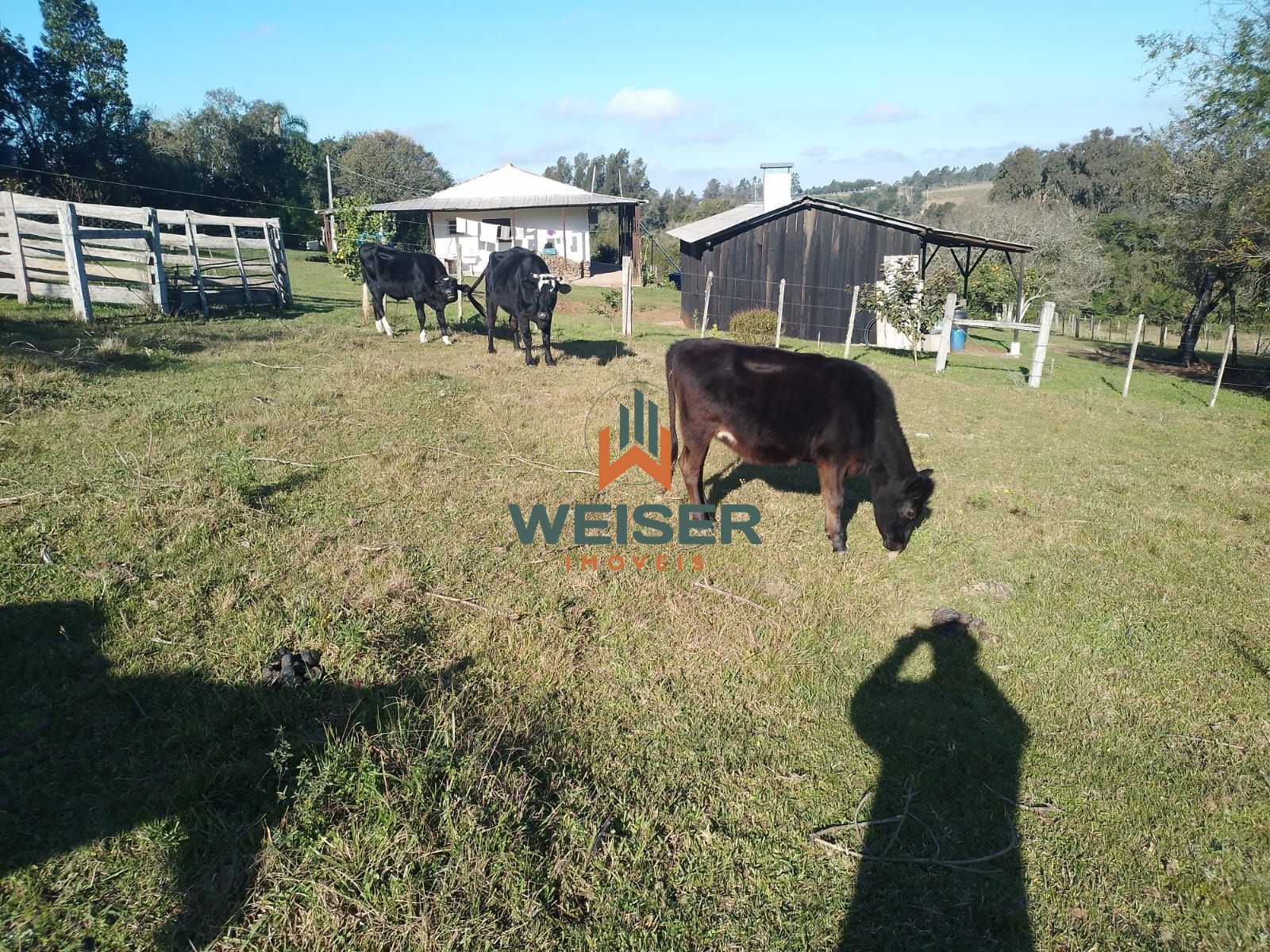 Fazenda à venda com 4 quartos, 102m² - Foto 54