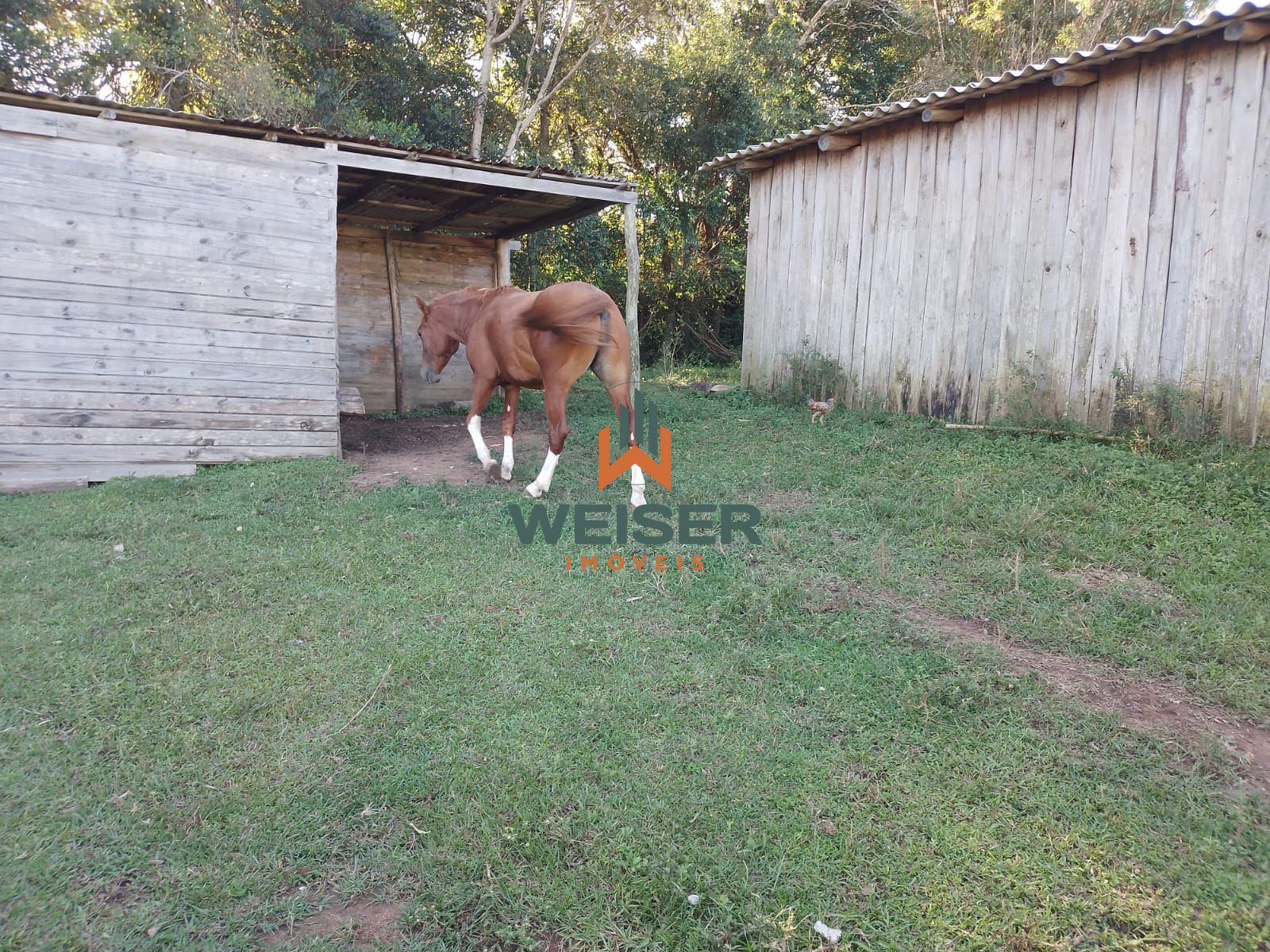 Chácara à venda com 4 quartos, 102m² - Foto 40