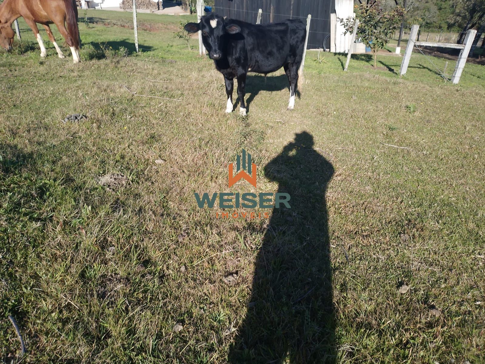 Chácara à venda com 4 quartos, 102m² - Foto 57