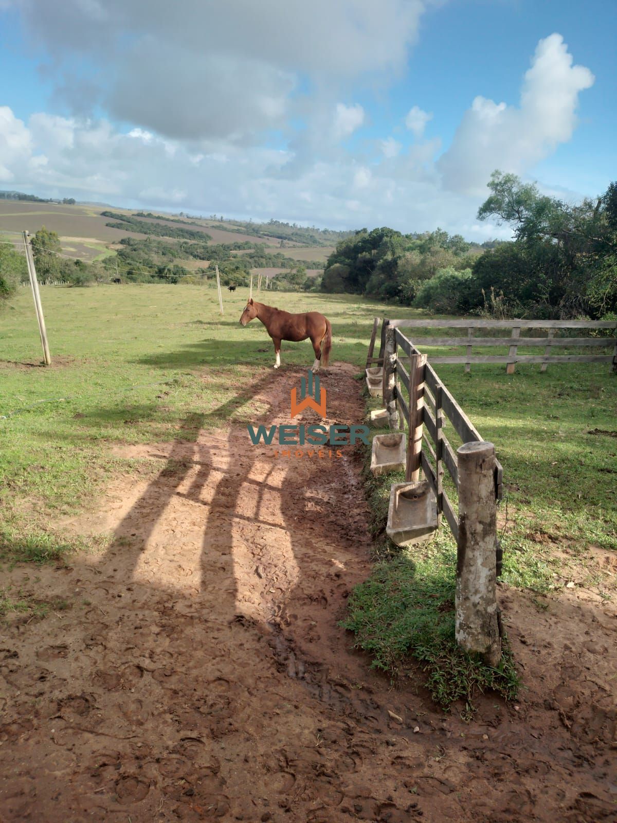 Fazenda à venda com 4 quartos, 102m² - Foto 43