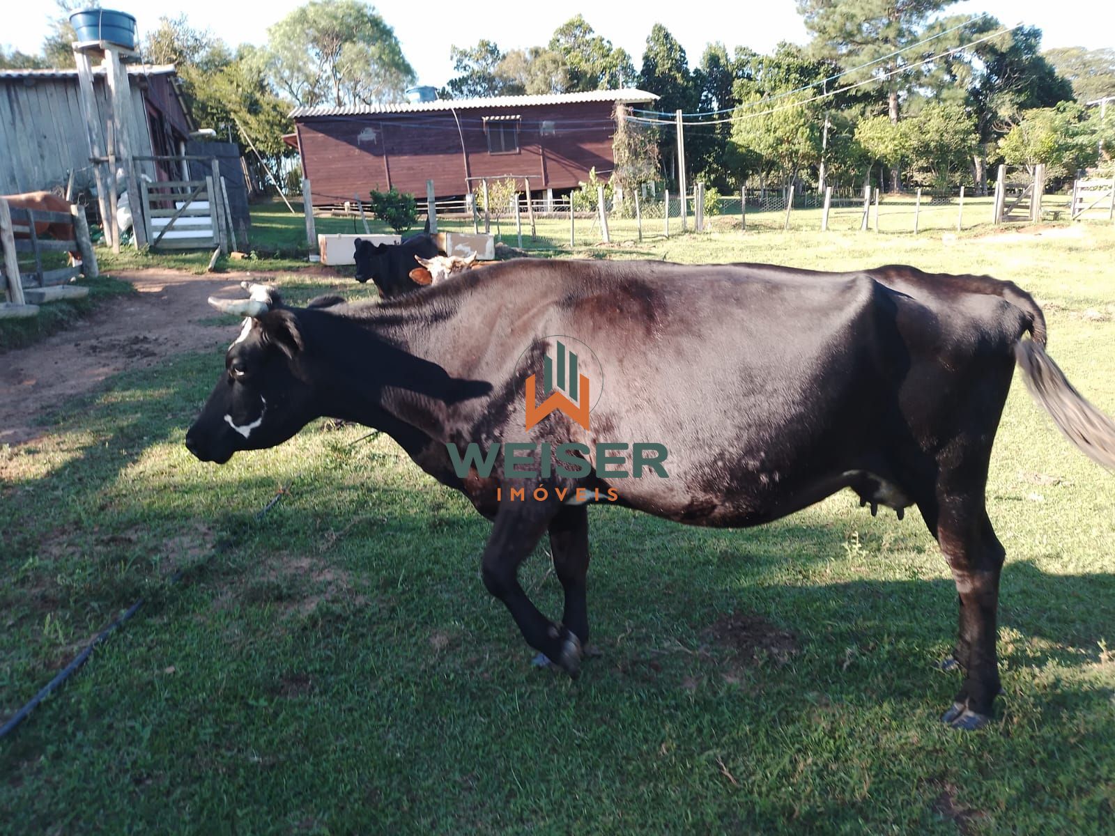 Fazenda à venda com 4 quartos, 102m² - Foto 41