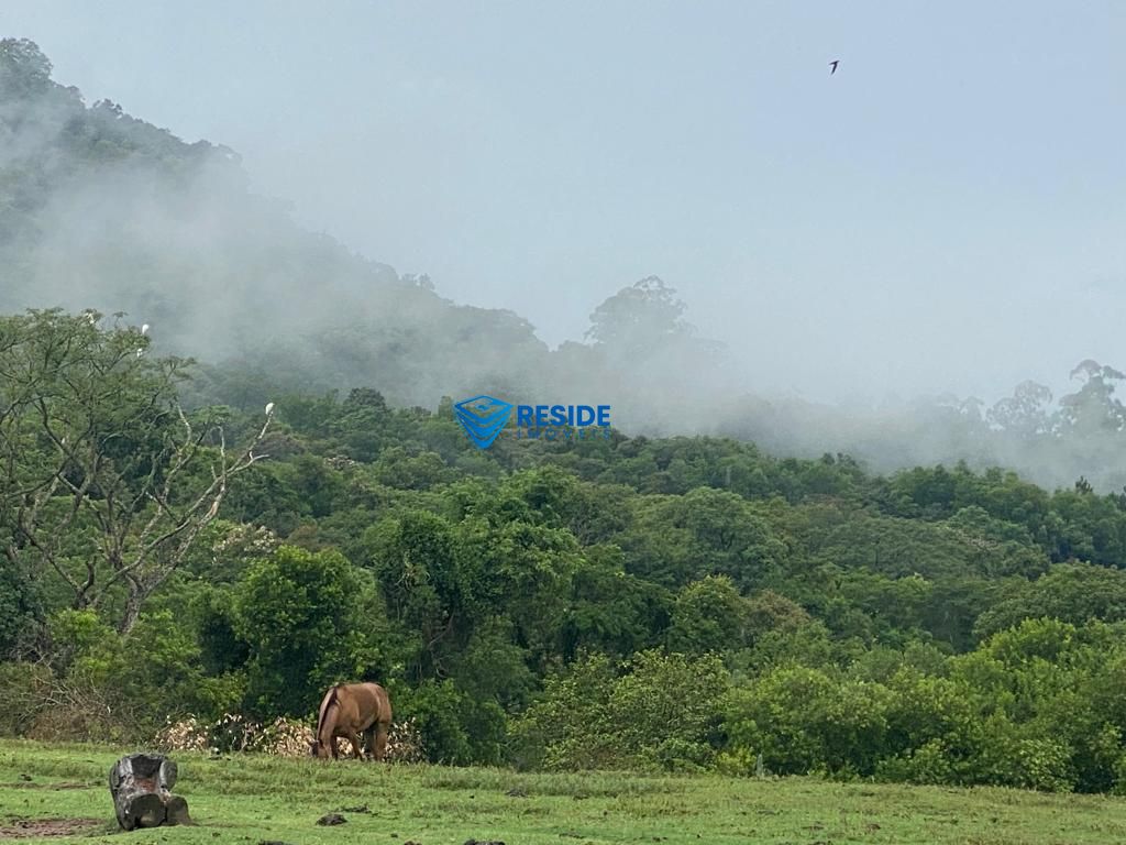 Fazenda/stio/chcara/haras  venda  no Santo Anto - Santa Maria, RS. Imveis