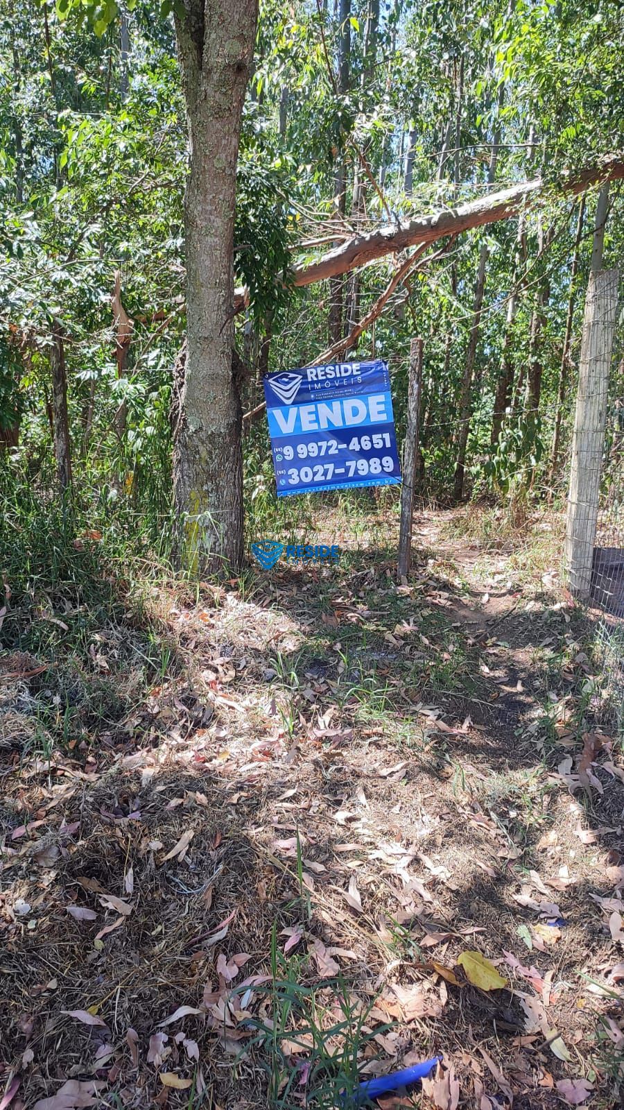 Terreno/Lote  venda  no Mundo Novo - So Pedro do Sul, RS. Imveis