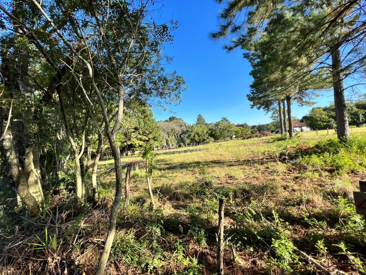 Terreno à venda Parque Pinhal Itaara/RS