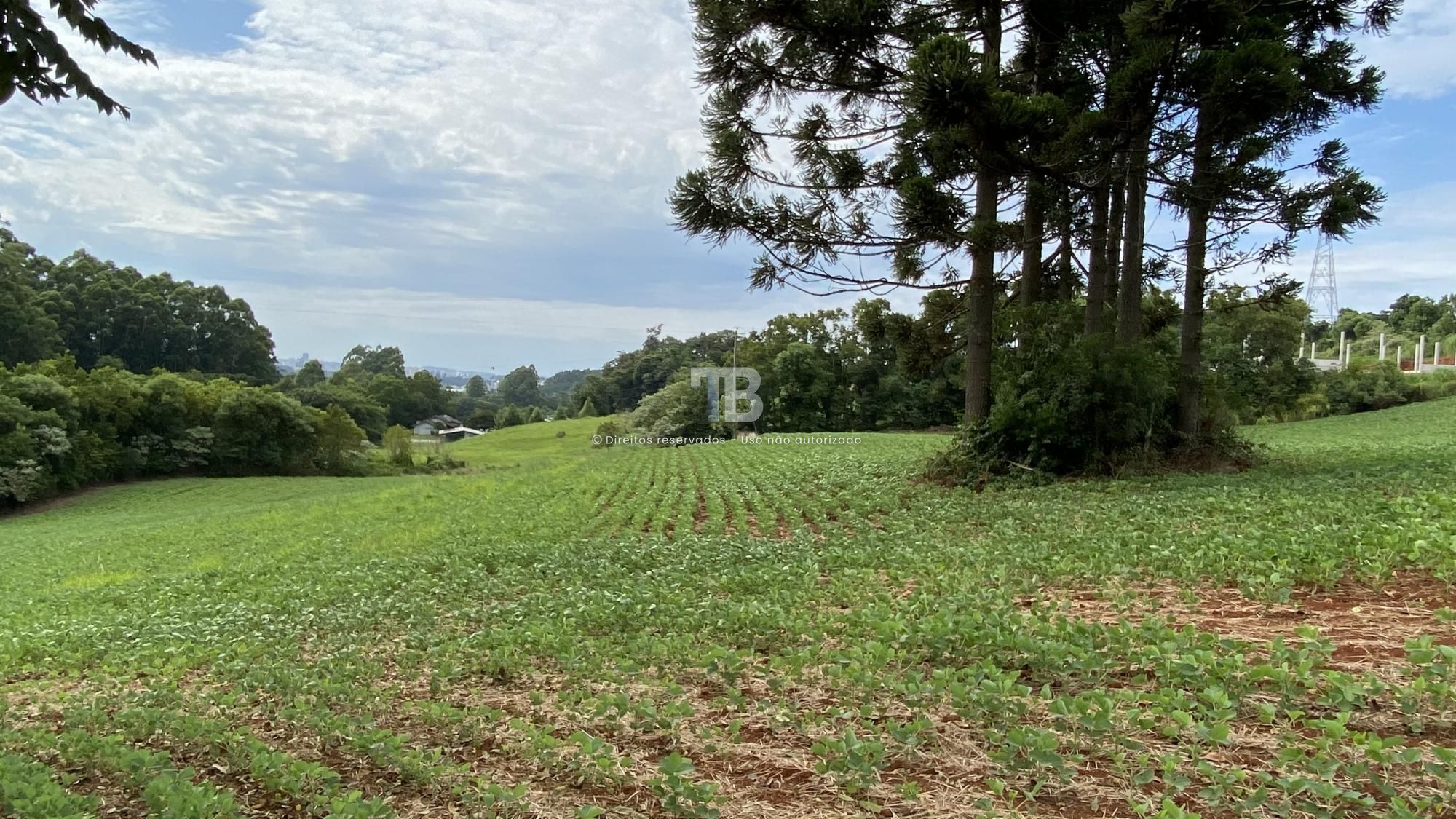 Área de terras próximo da SERCOM