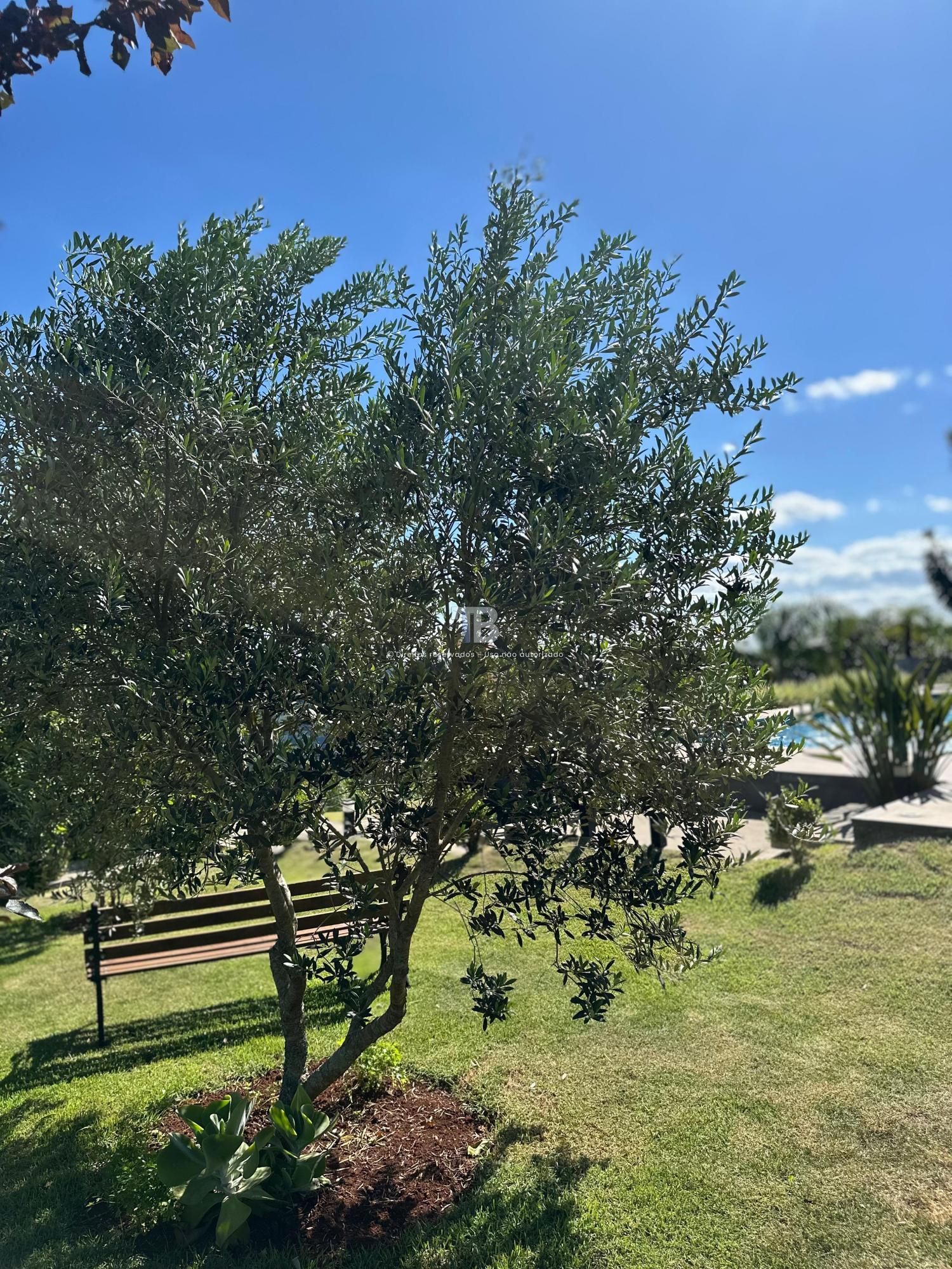 Casa Mobiliada em Condomínio Fechado