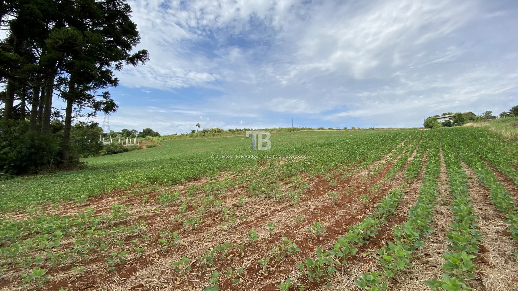 Área de terras próximo da SERCOM