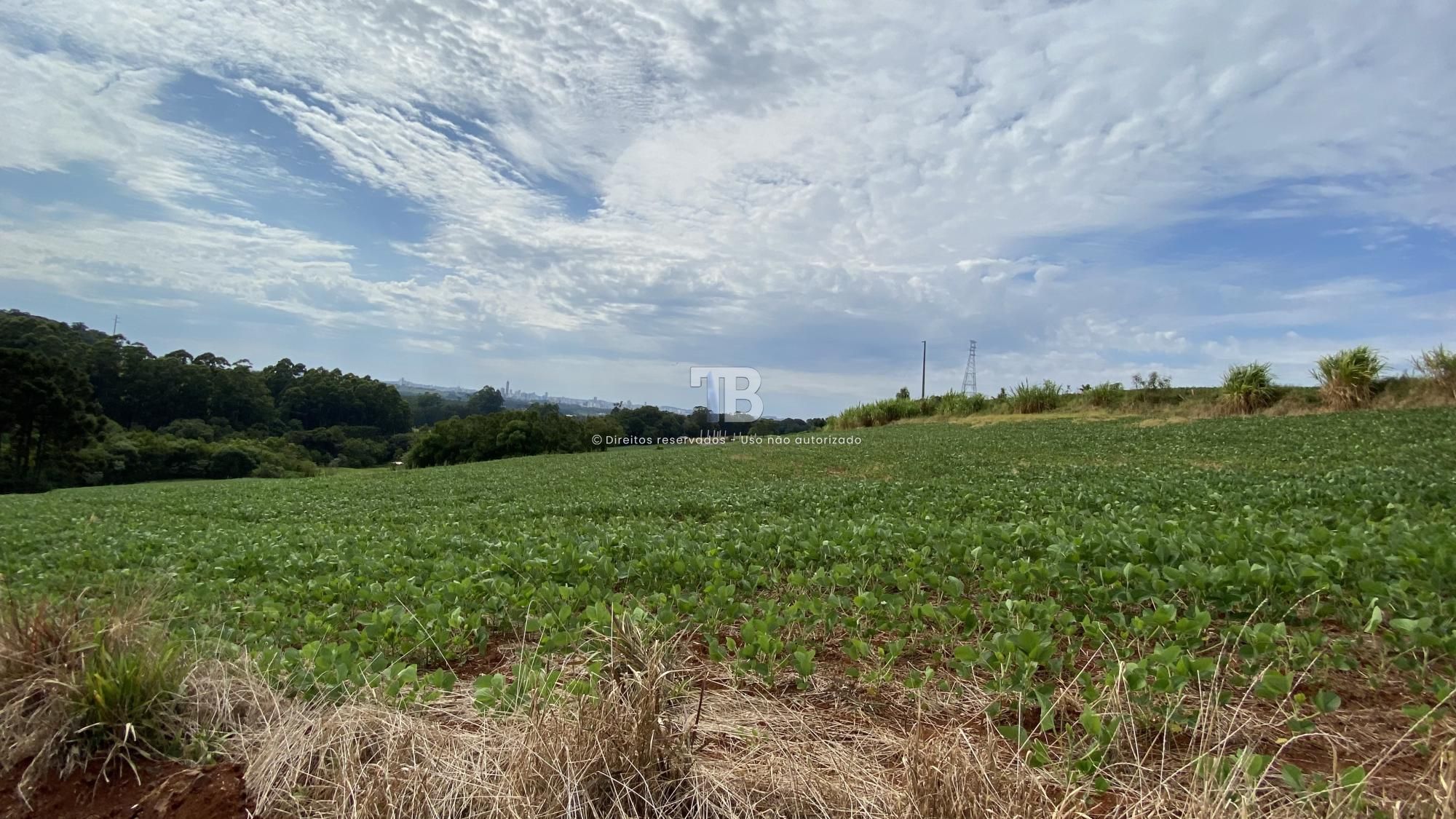 Área de terras próximo da SERCOM