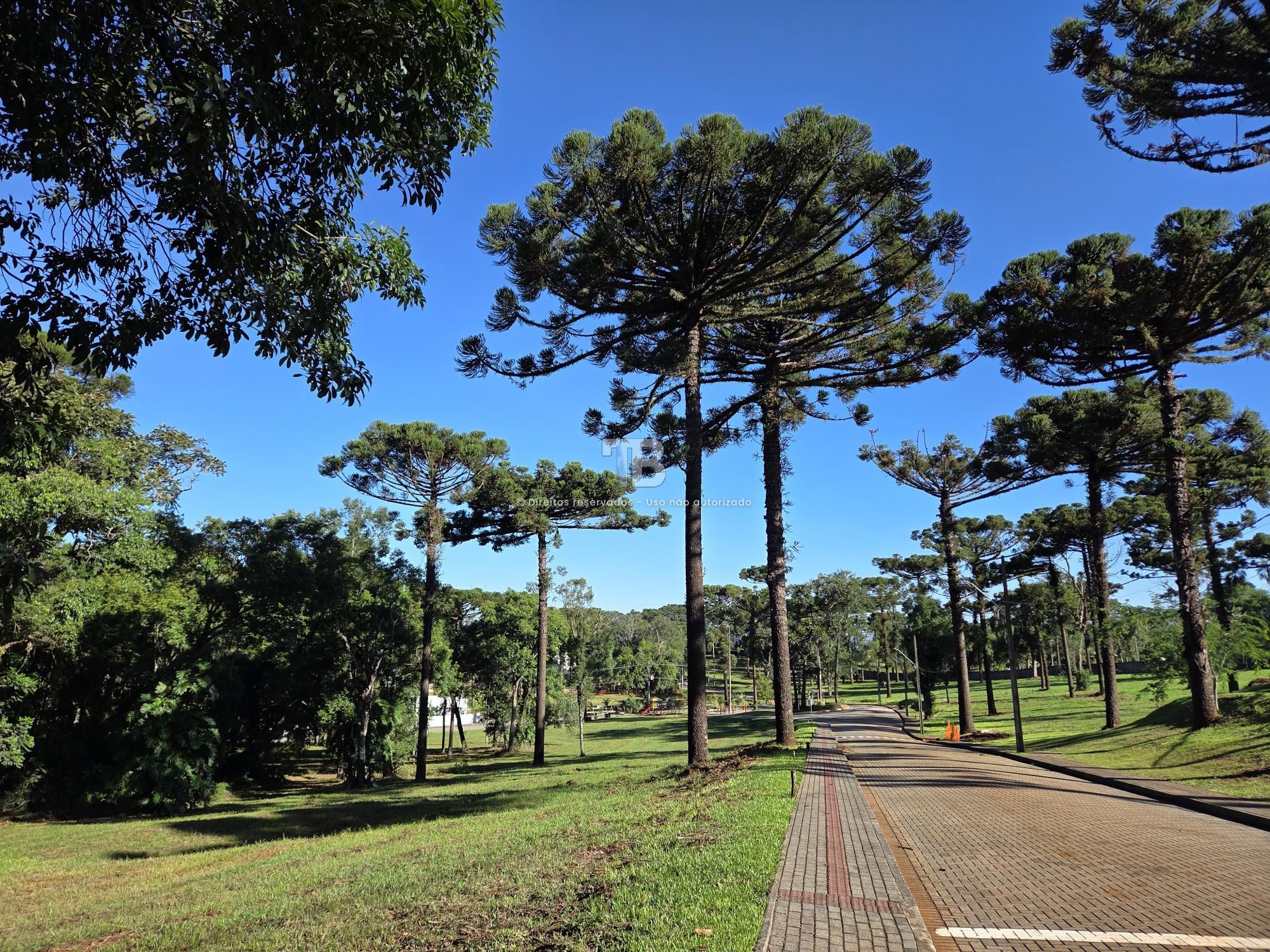 Terreno em Condomínio Fechado