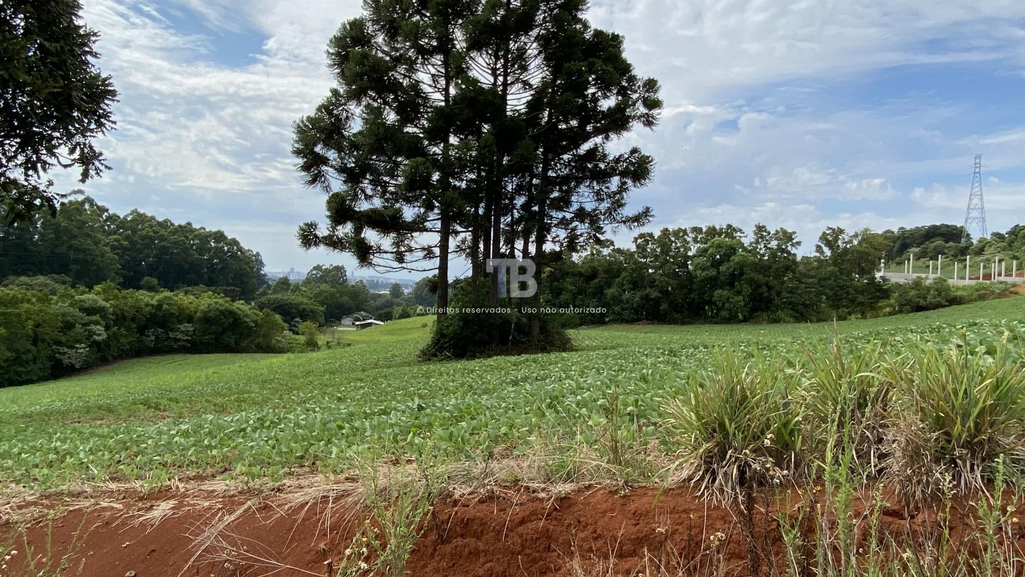 Área de terras próximo da SERCOM
