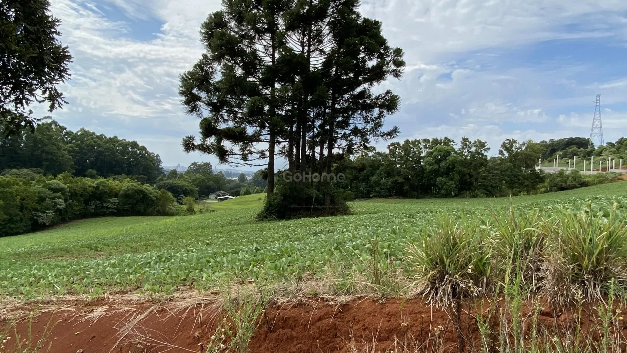 3205 – Terreno rural à venda em Chapecó com nascente, açude e energia elétrica