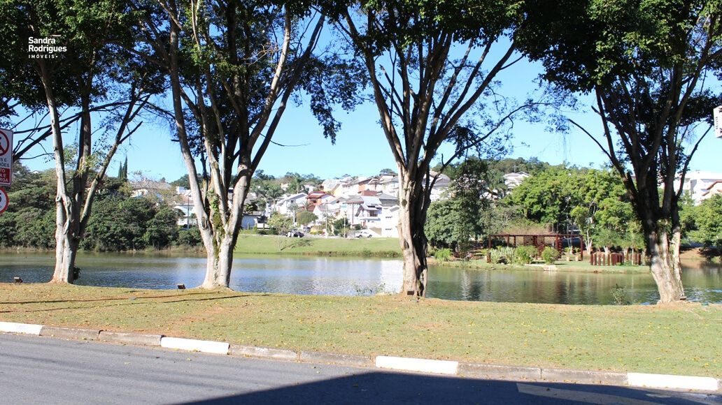 img4087878