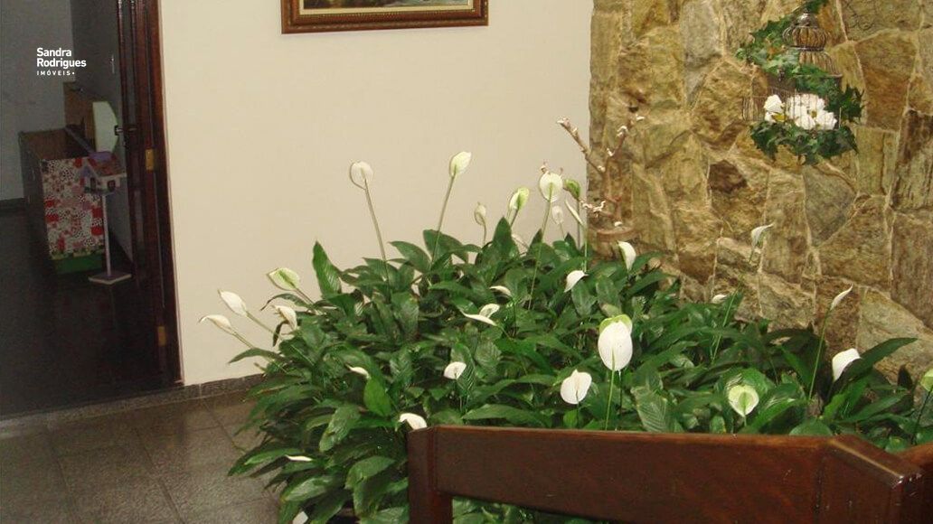img4086930