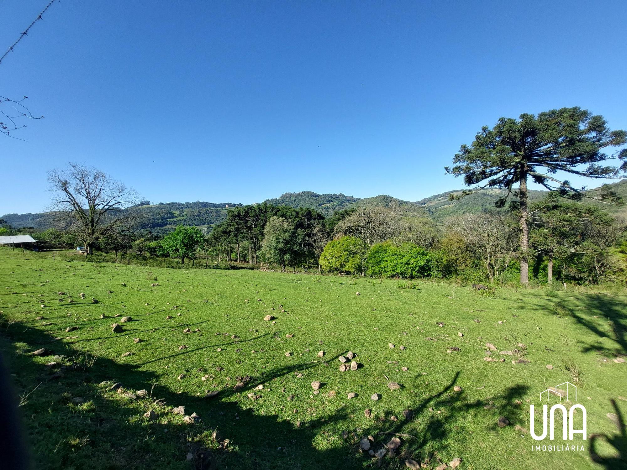 Terreno, 24 hectares - Foto 6