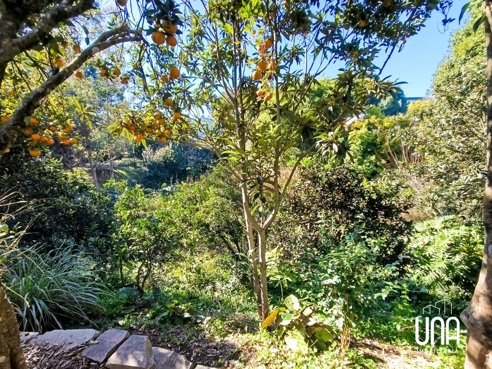 Casa, 3 quartos, 200 m² - Foto 15