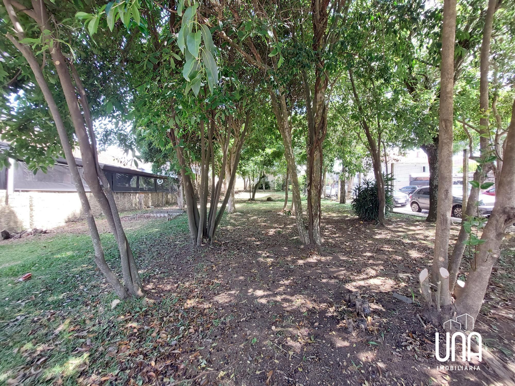 Casa, 4 quartos, 150 m² - Foto 6