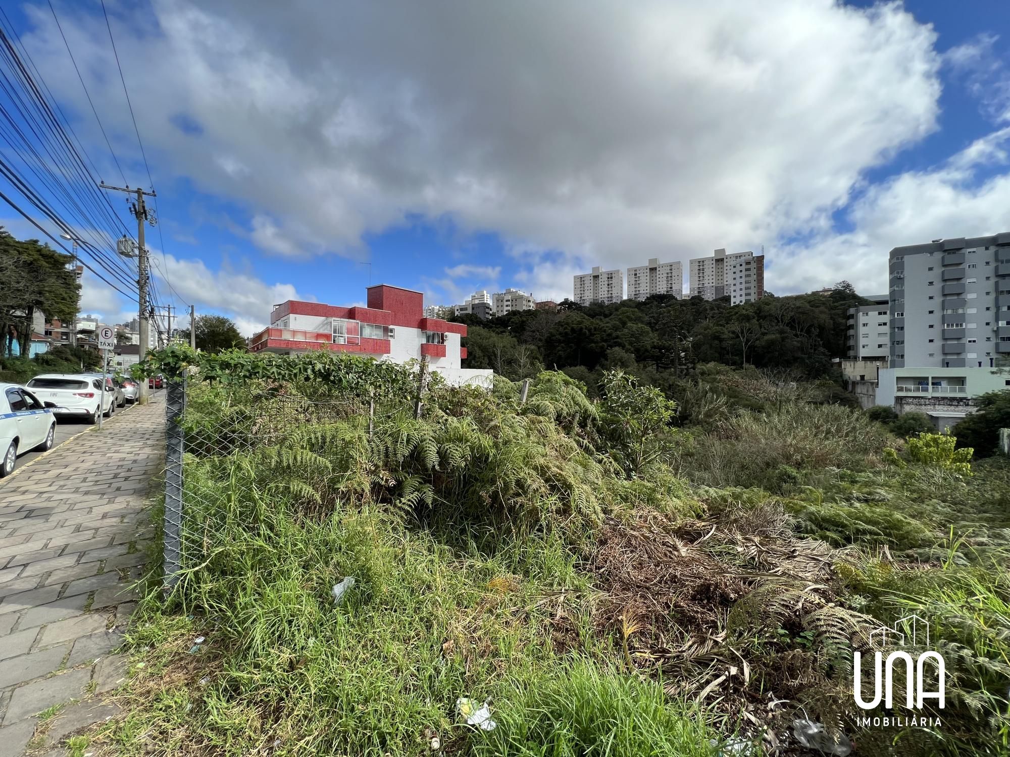 Terreno, 1341 m² - Foto 4