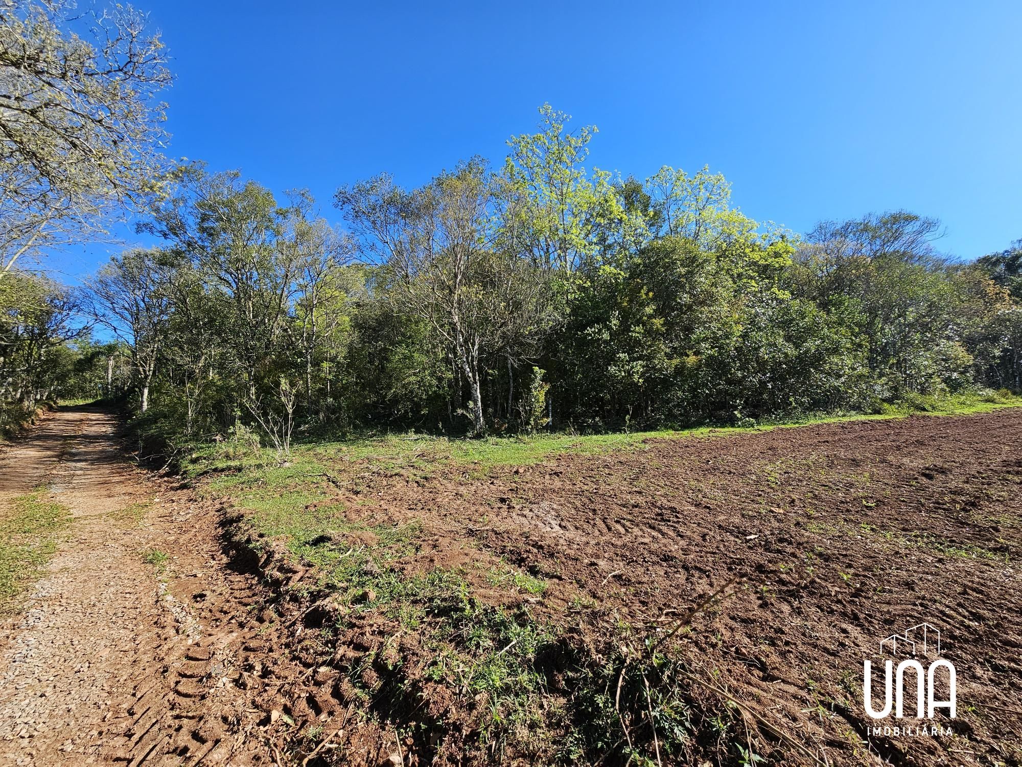 Sítio, 5 hectares - Foto 12