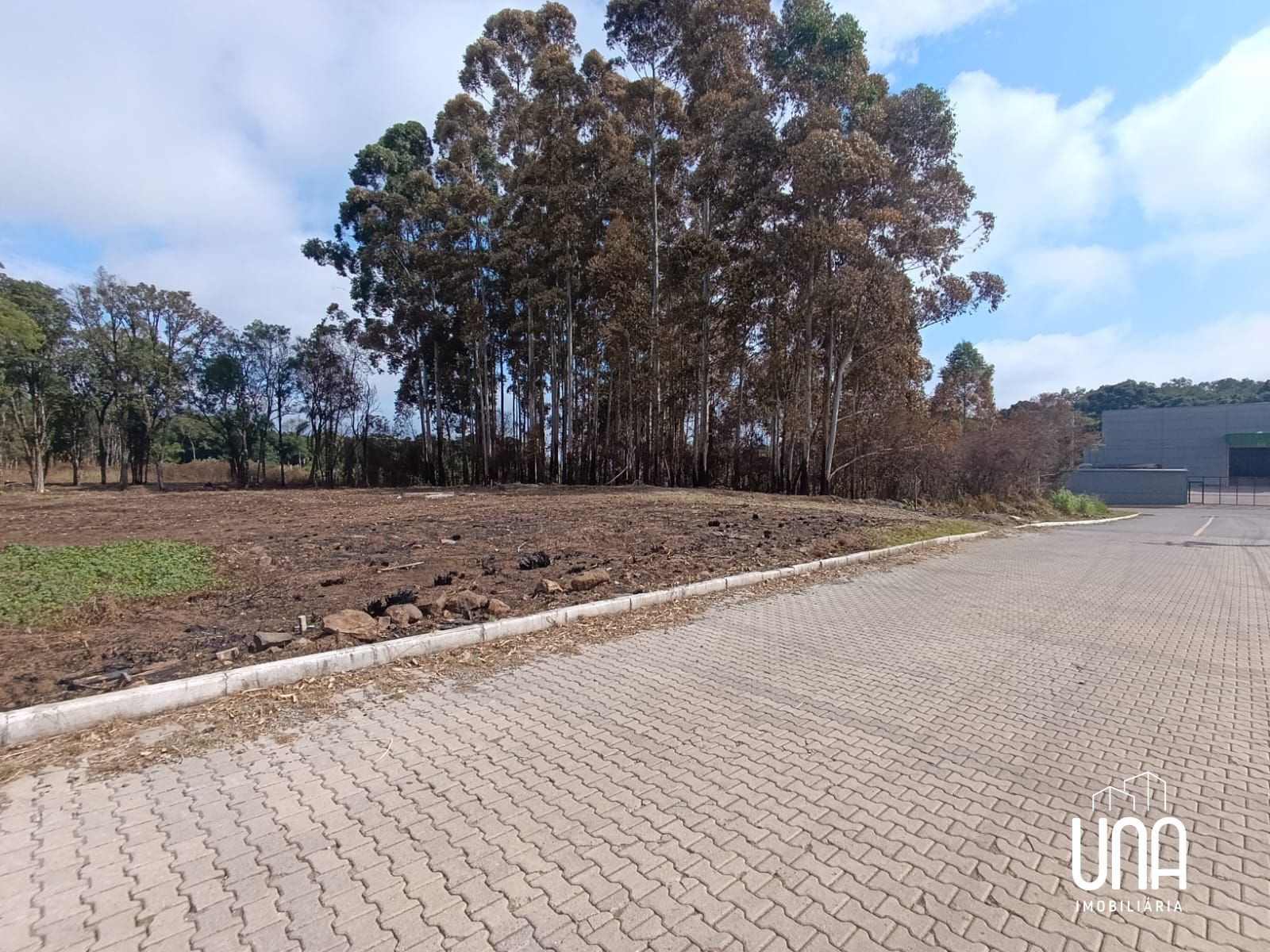 Terreno, 2071 m² - Foto 3