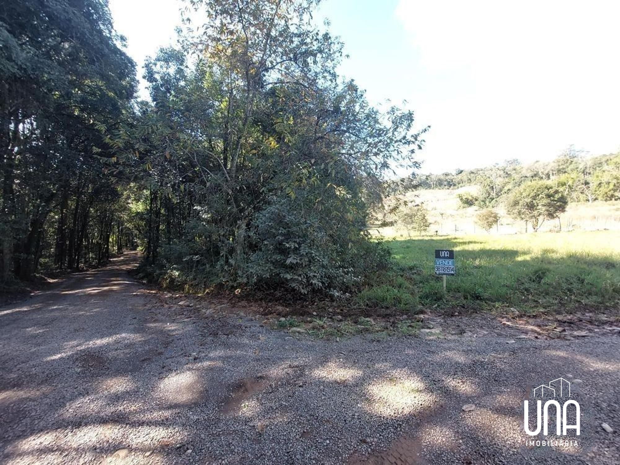Terreno, 2 hectares - Foto 6