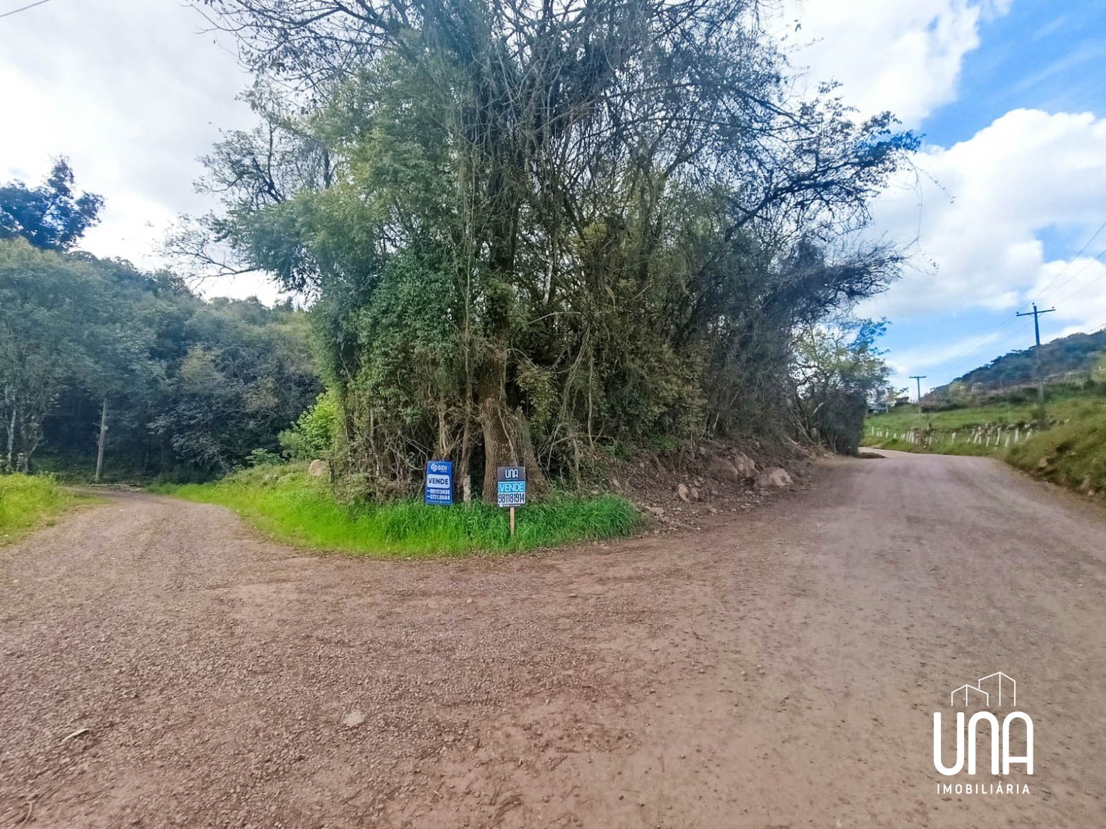 Chácara, 2 hectares - Foto 2