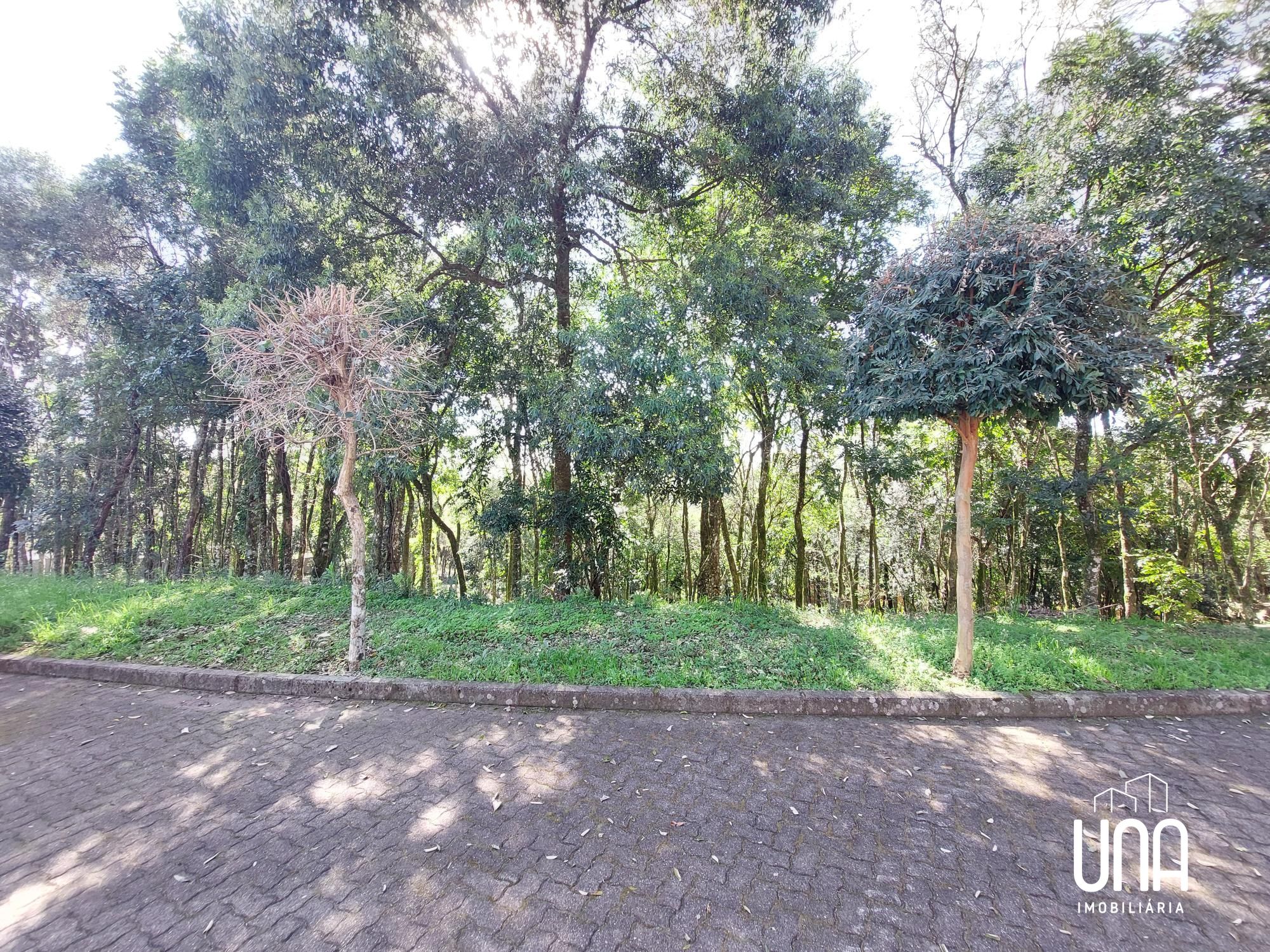 Terreno, 2071 m² - Foto 2