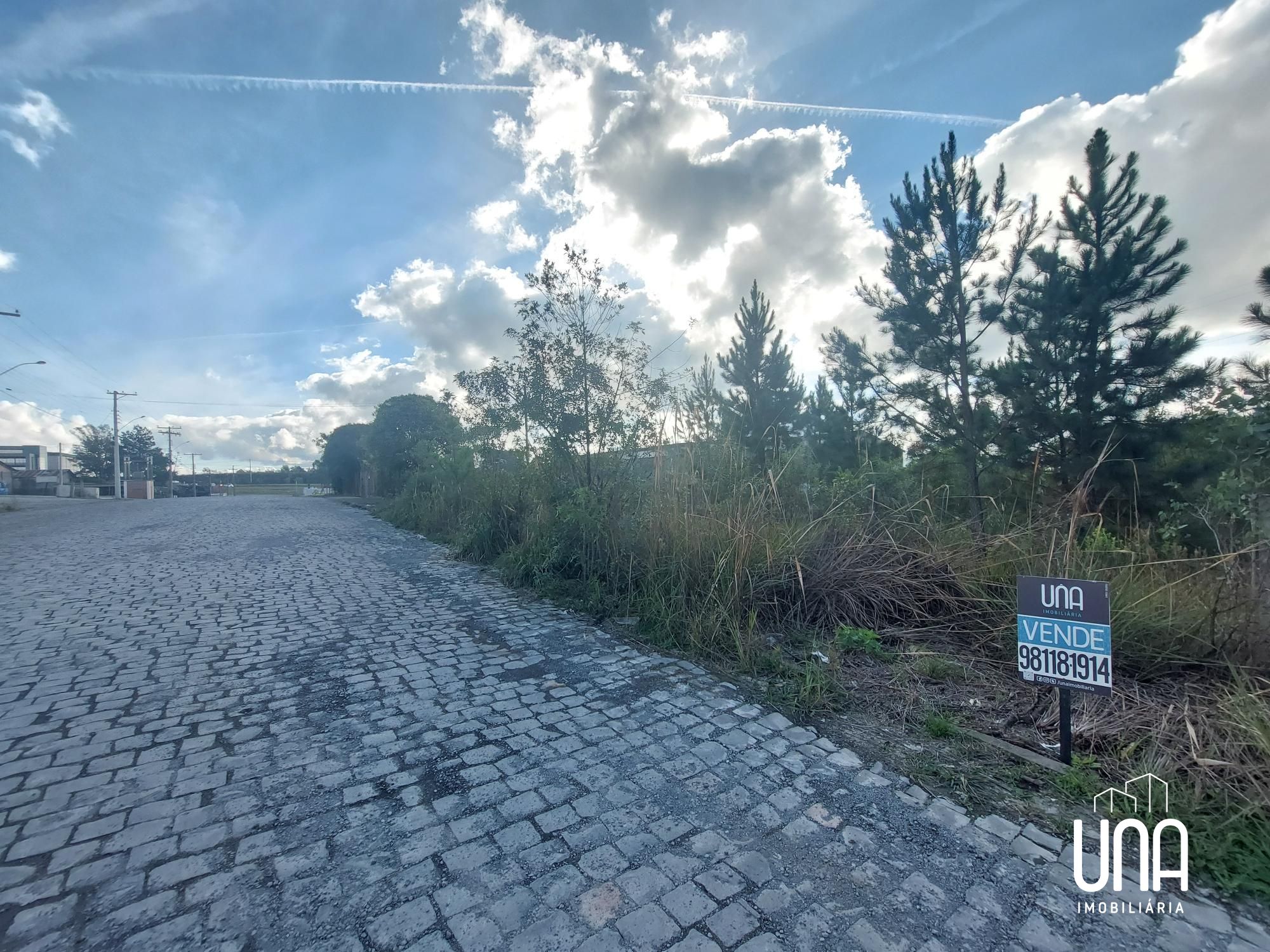 Terreno, 2516 m² - Foto 3