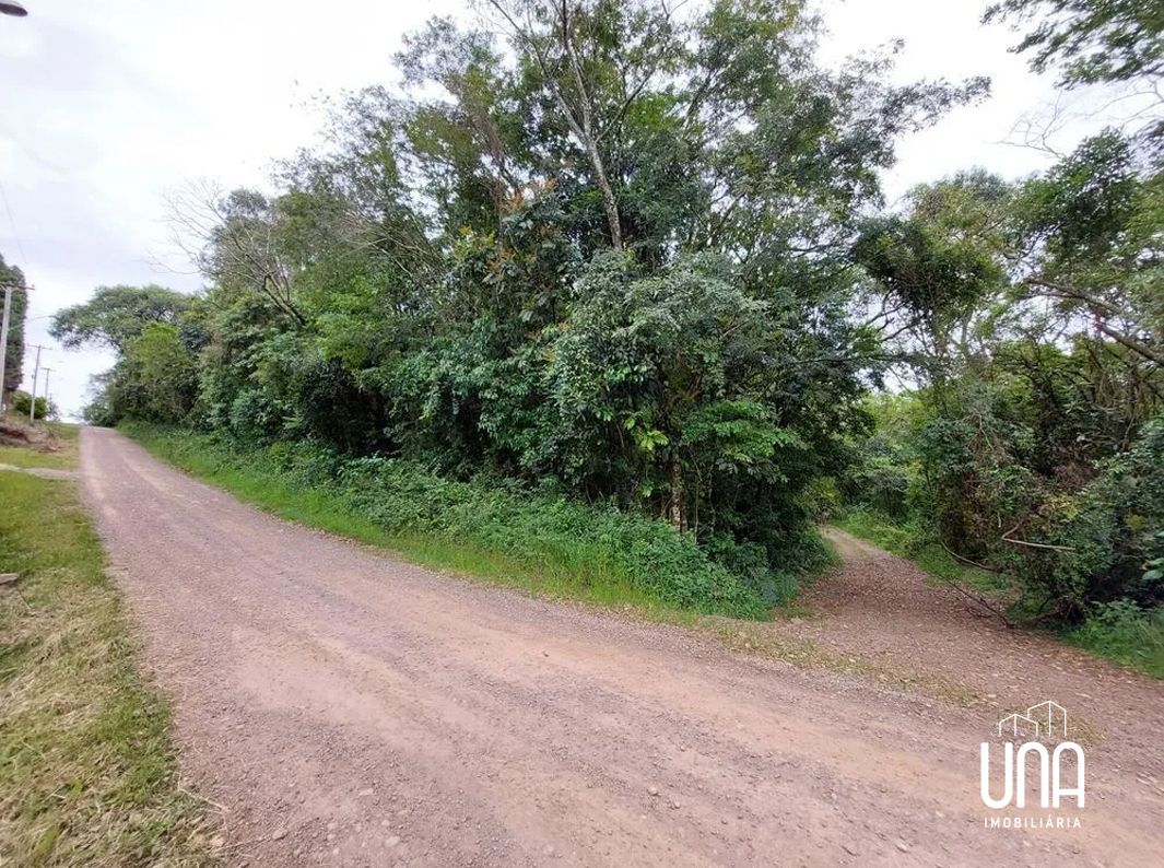 Terreno, 2 hectares - Foto 2