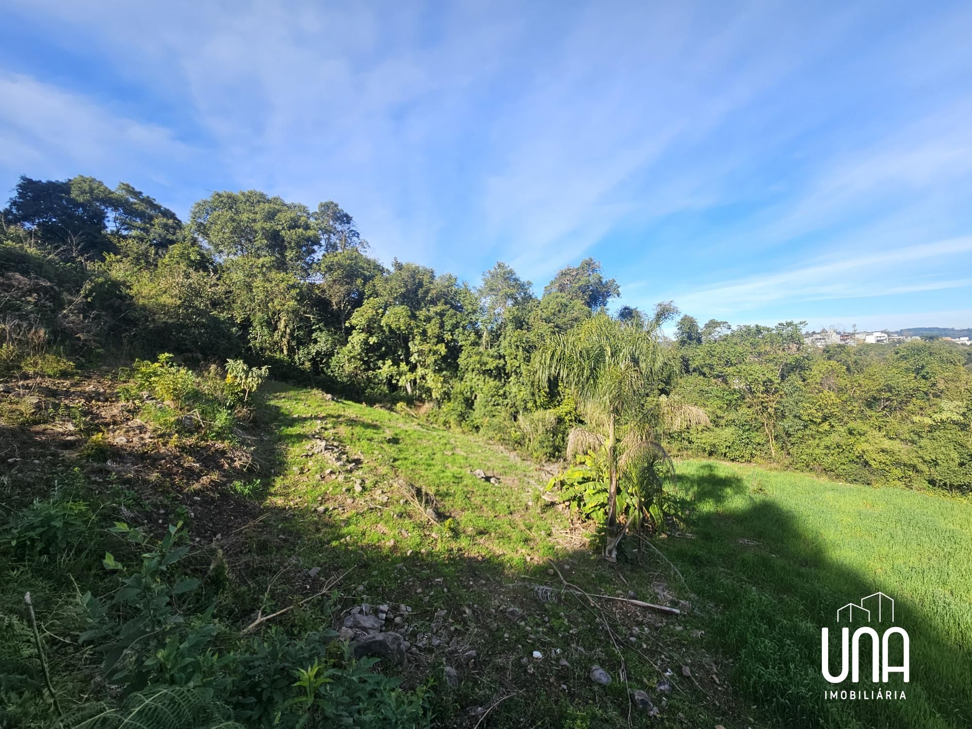 Terreno, 360 m² - Foto 4