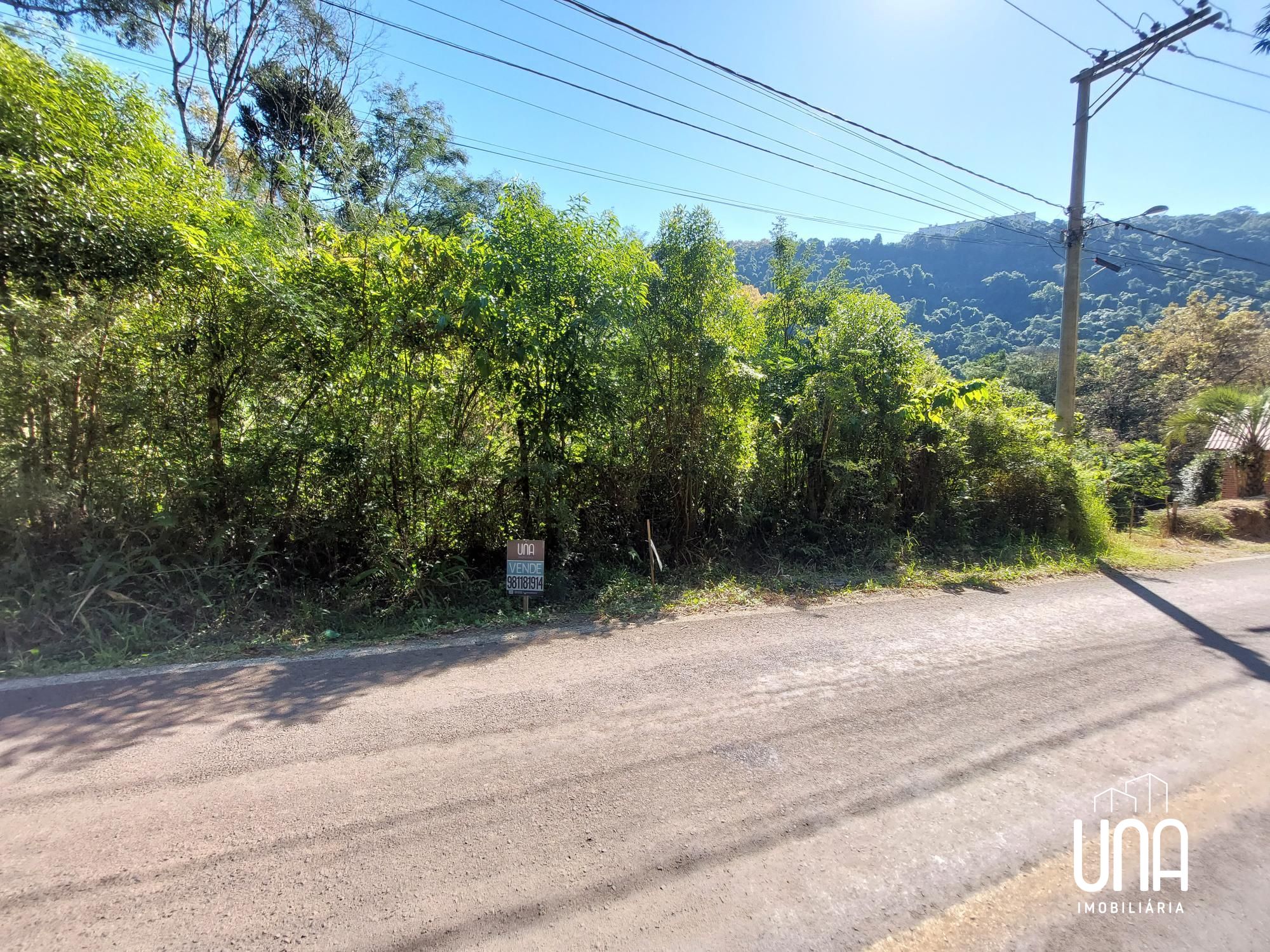 Terreno, 62 hectares - Foto 1