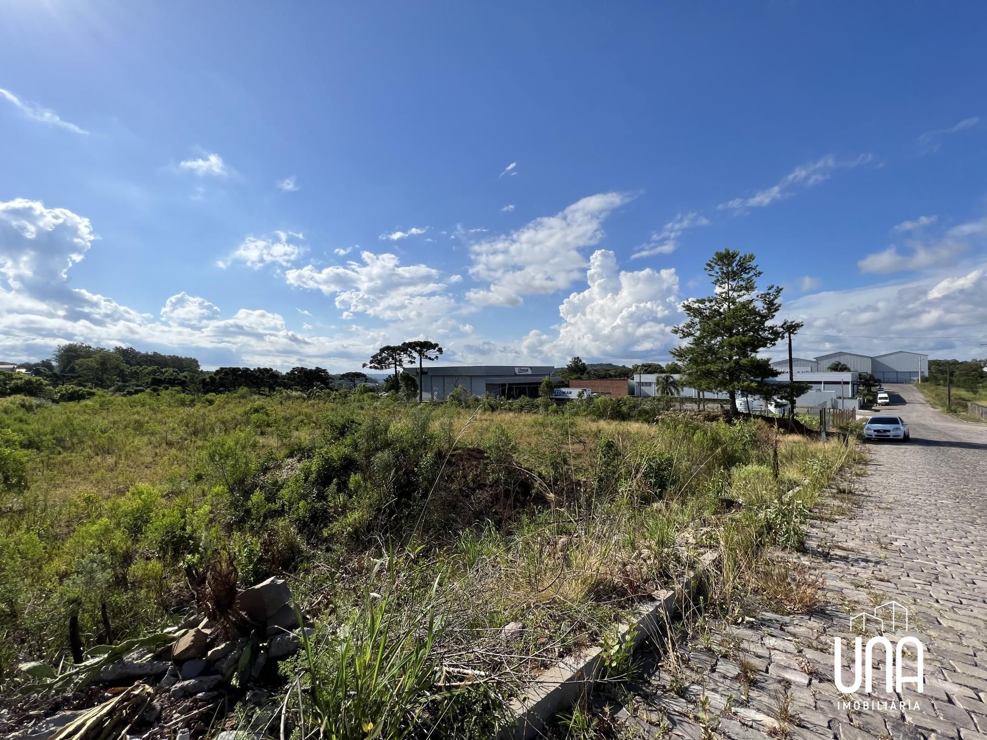 Terreno, 7134 m² - Foto 3