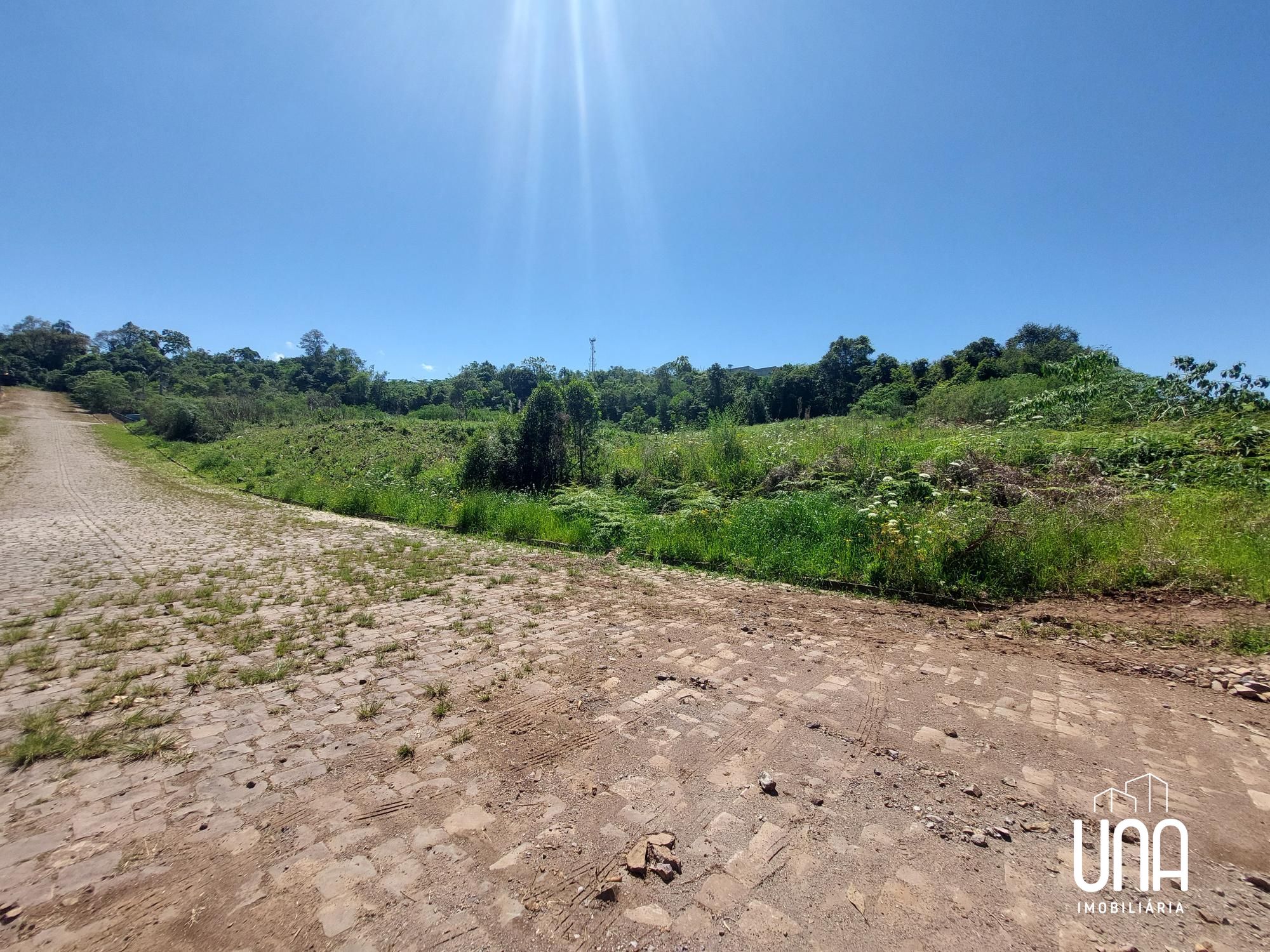Terreno, 2250 m² - Foto 3
