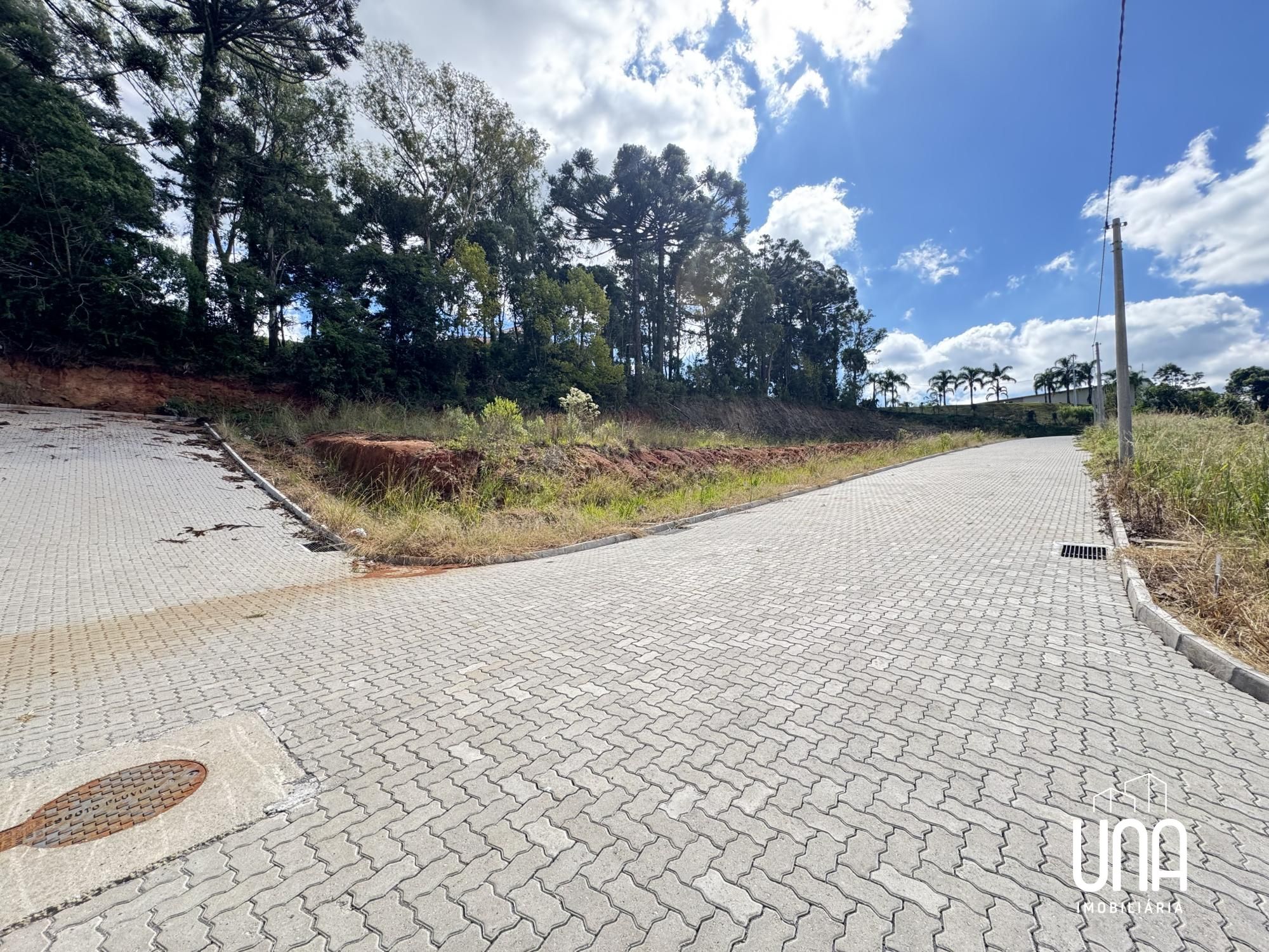 Terreno, 246 m² - Foto 8