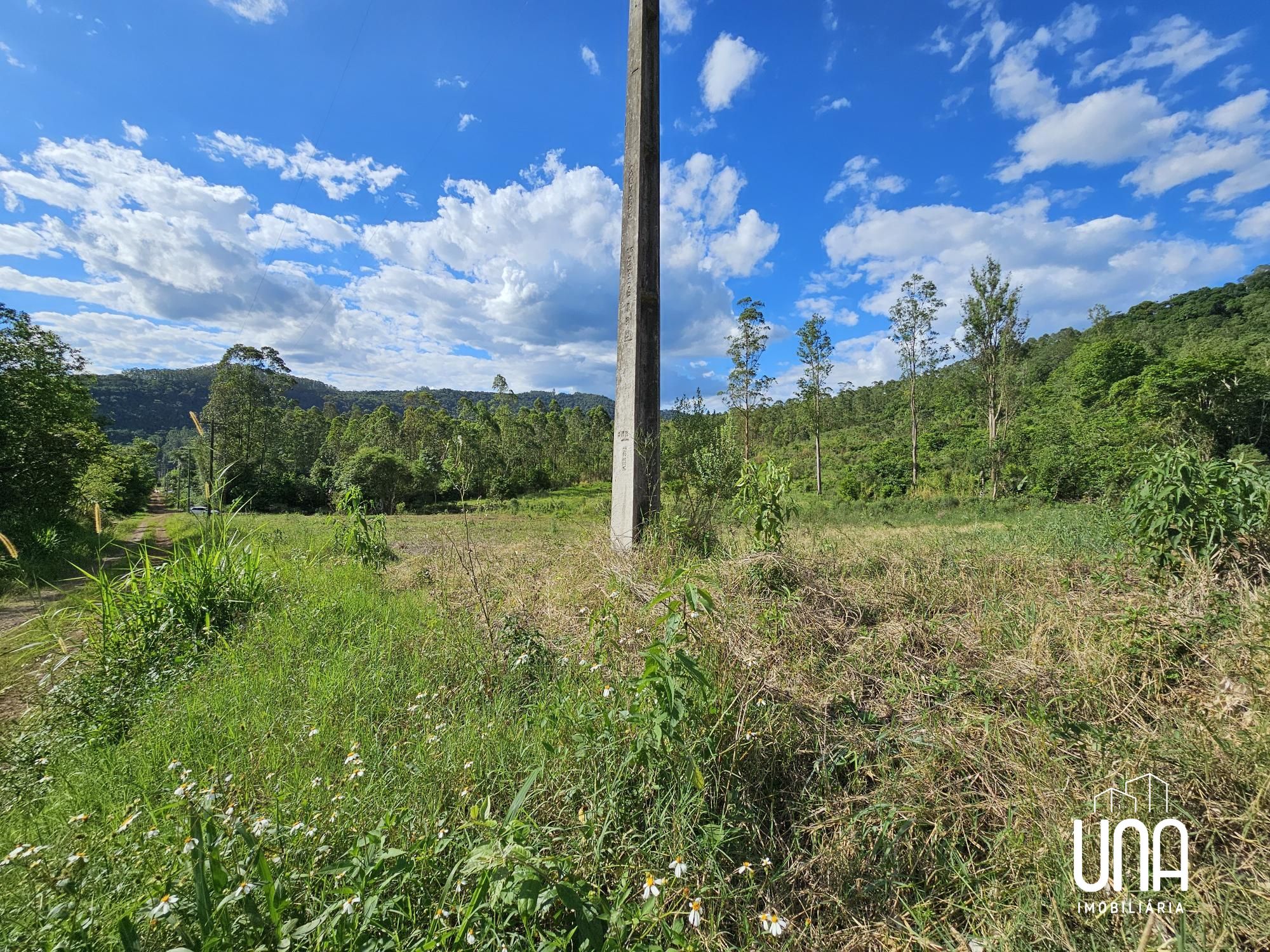 Chácara, 3 hectares - Foto 3